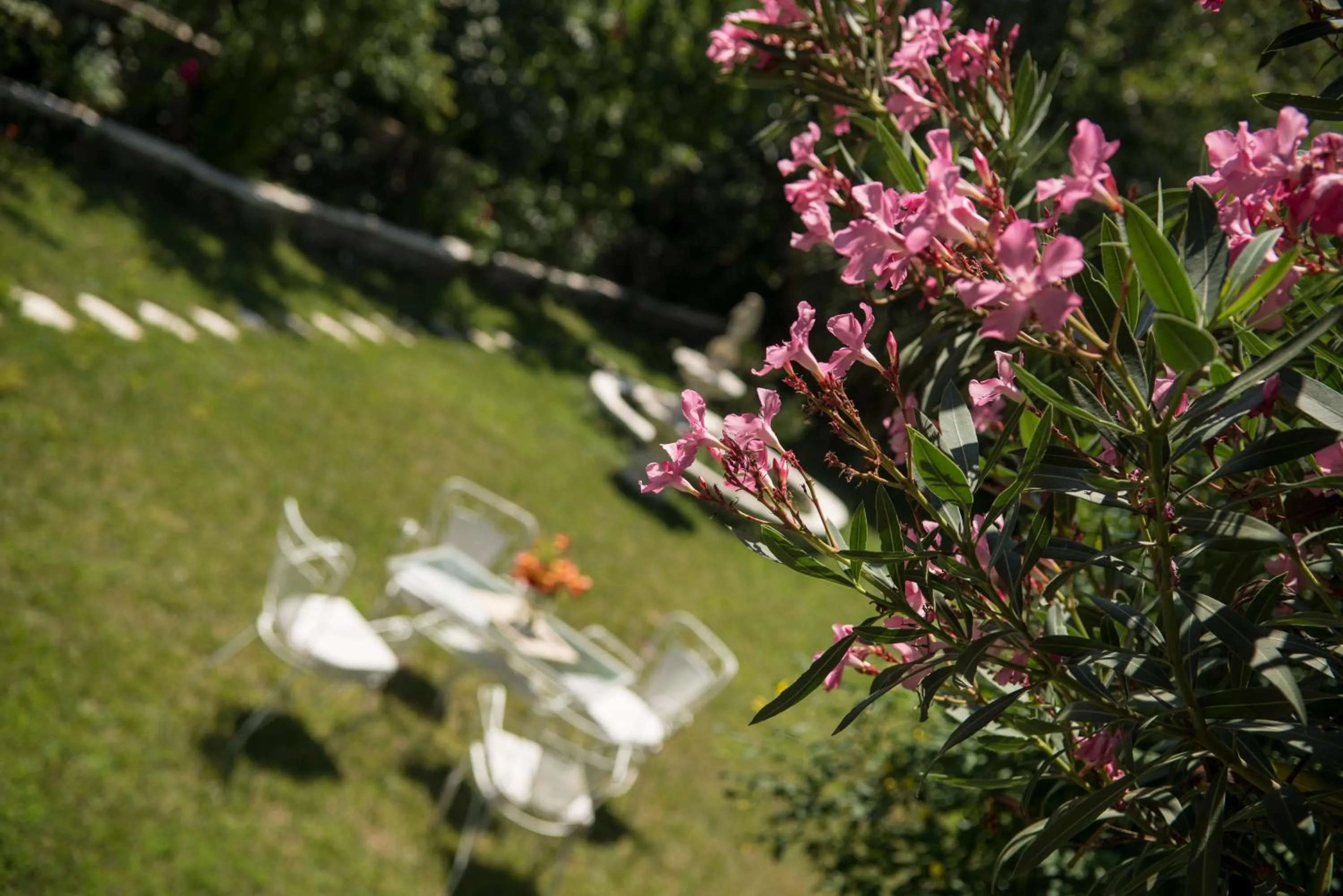 Garden in Archontiko Petras 1821