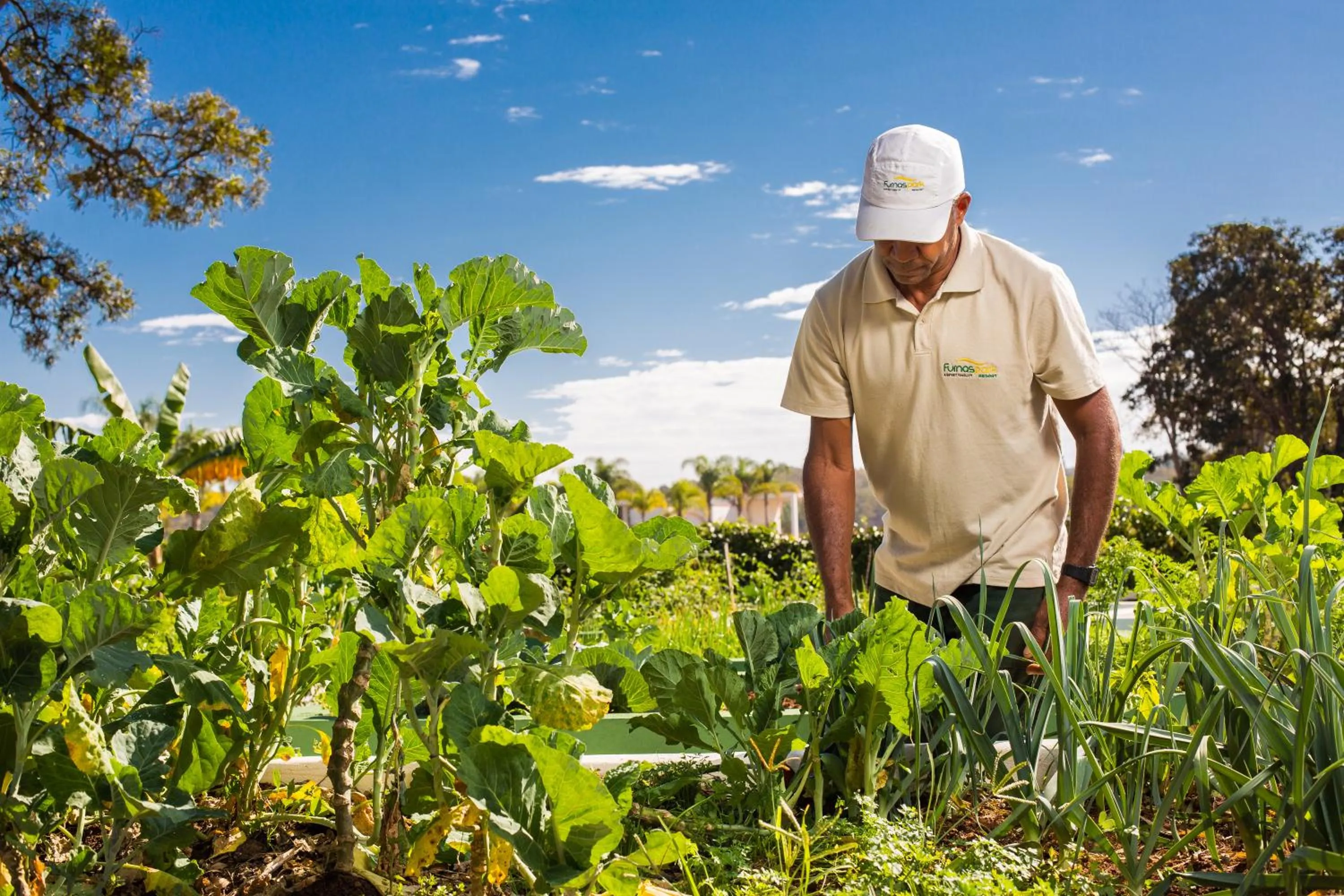 Staff in Ramada by Wyndham Furnaspark