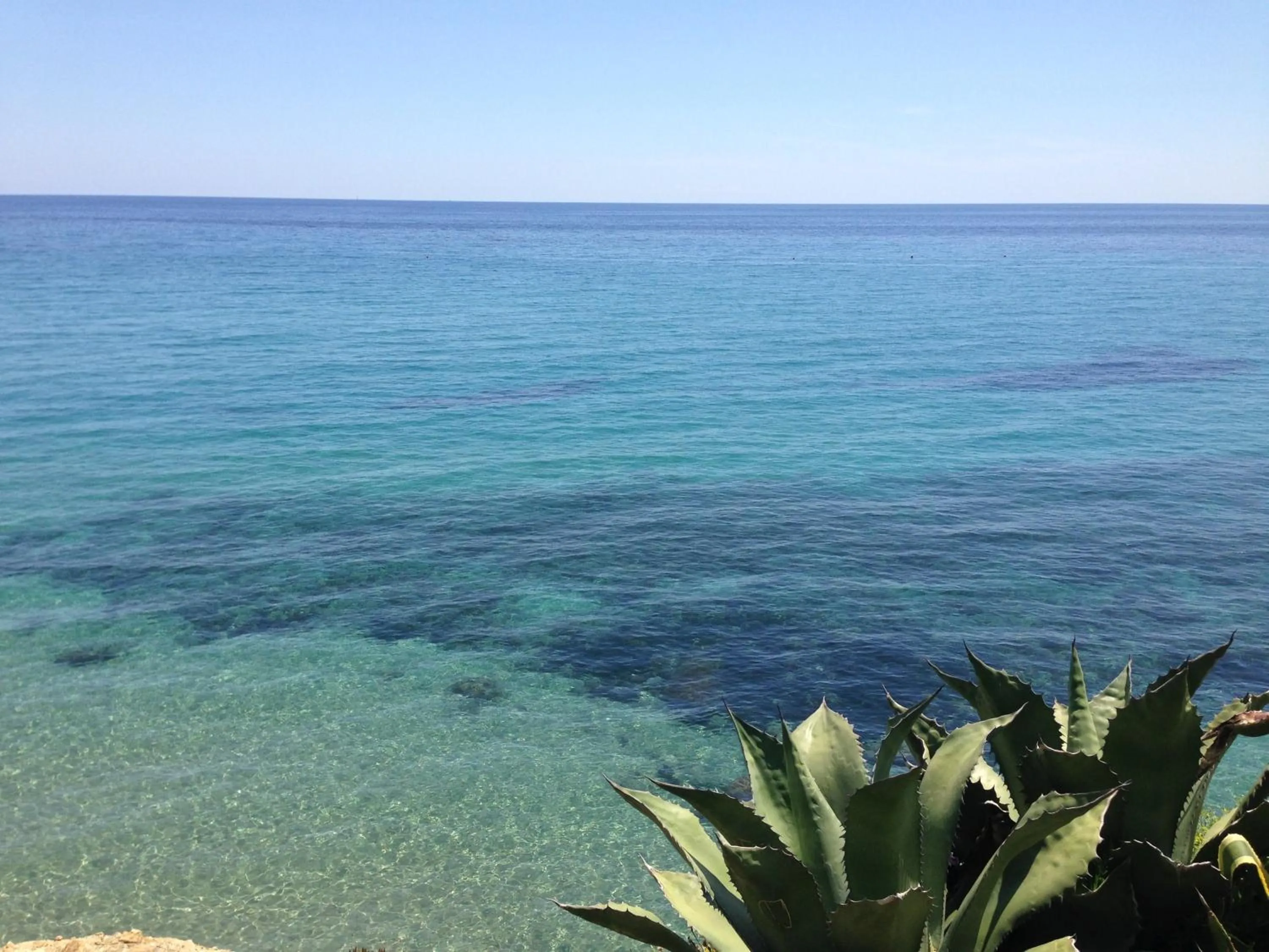 Area and facilities in Hotel Ideal