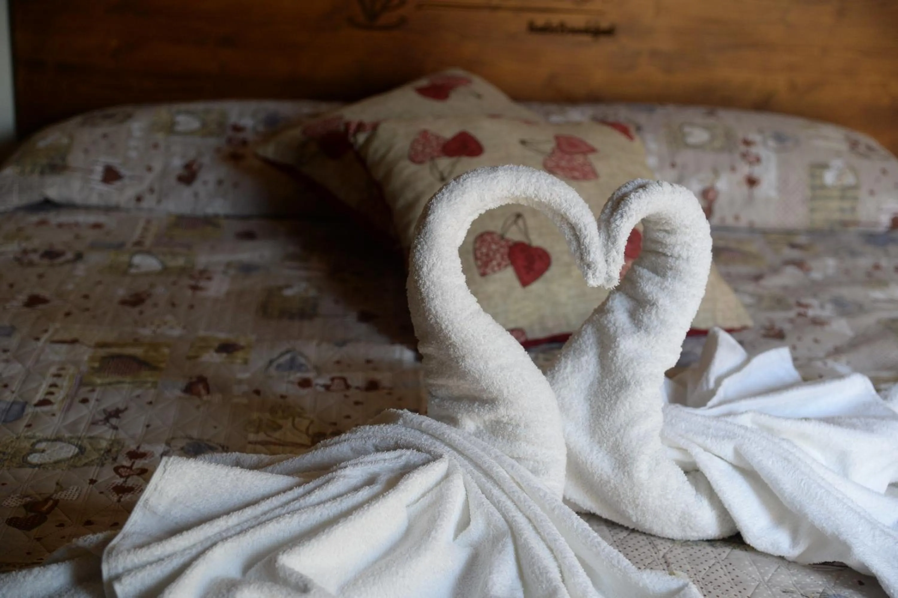 Summer in Vin e Turn