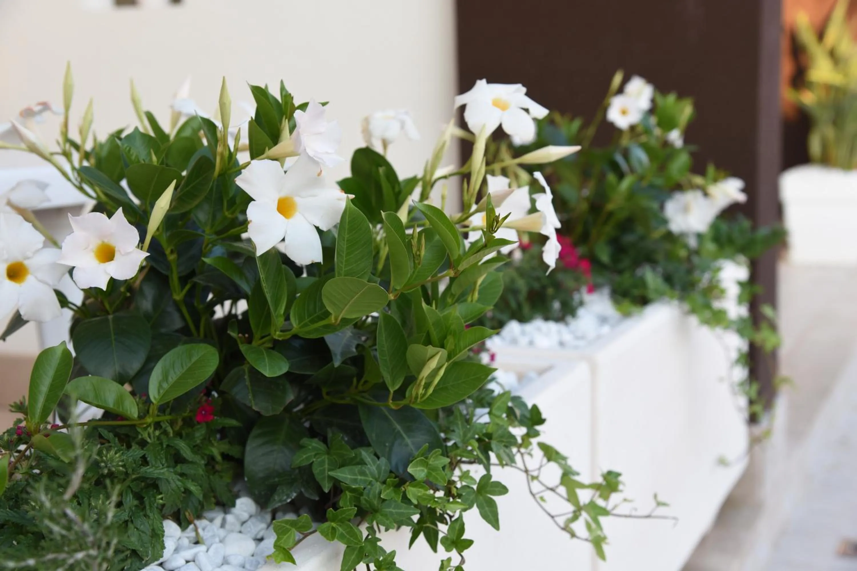 Decorative detail in B&B Il FIORONE