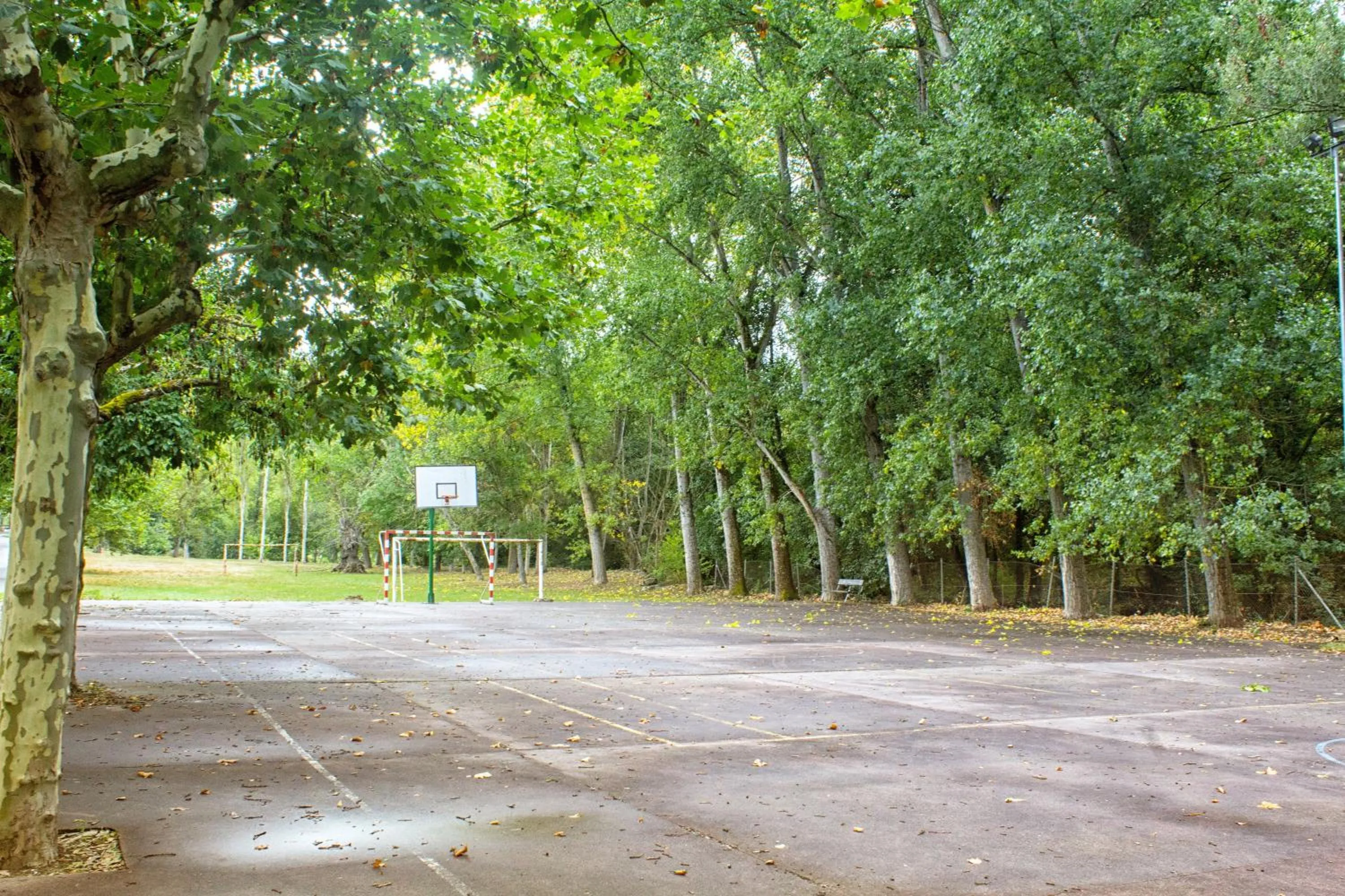 Activities in Hotel Valle del Silencio