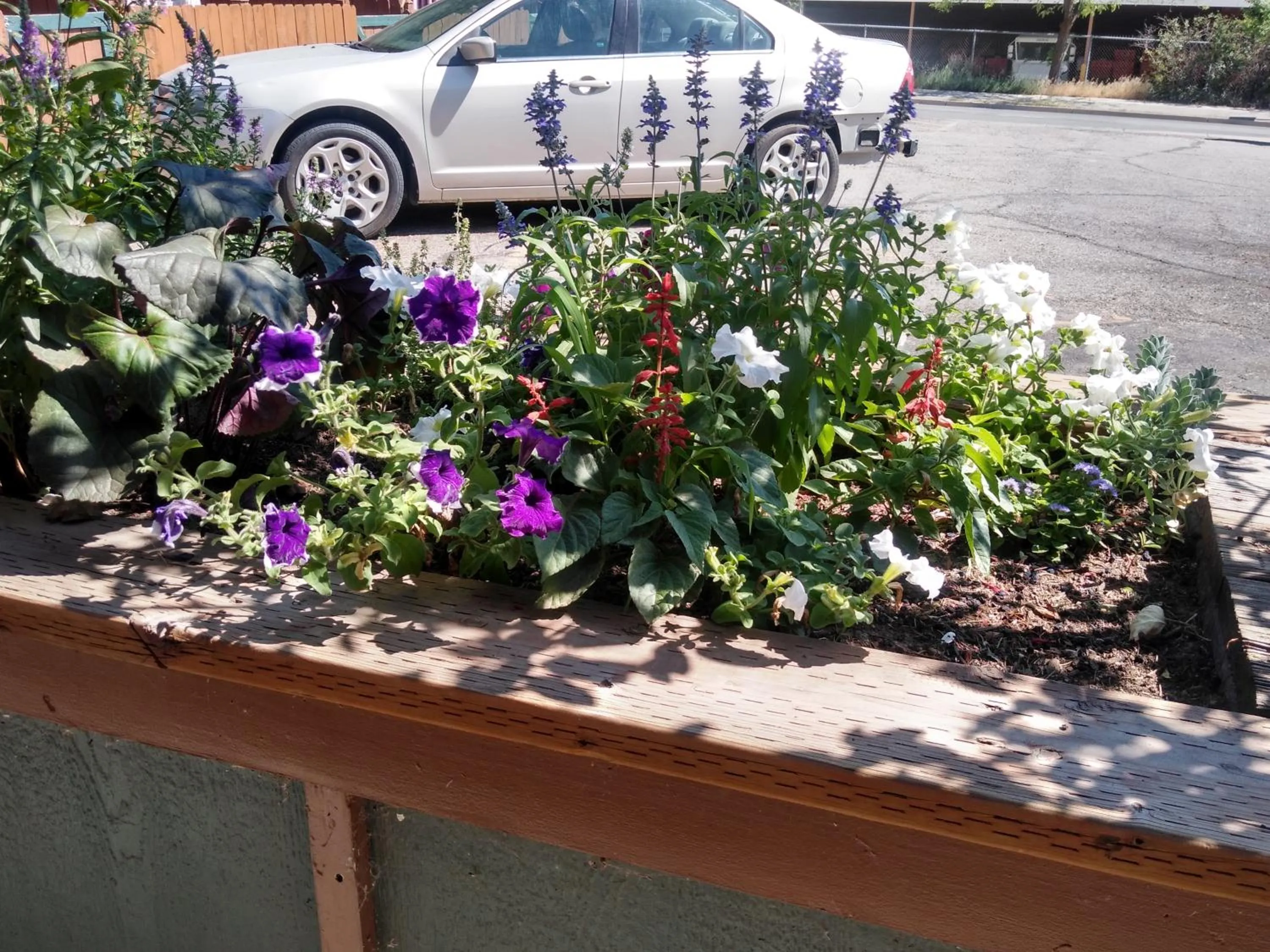 Garden in The Charin Inn
