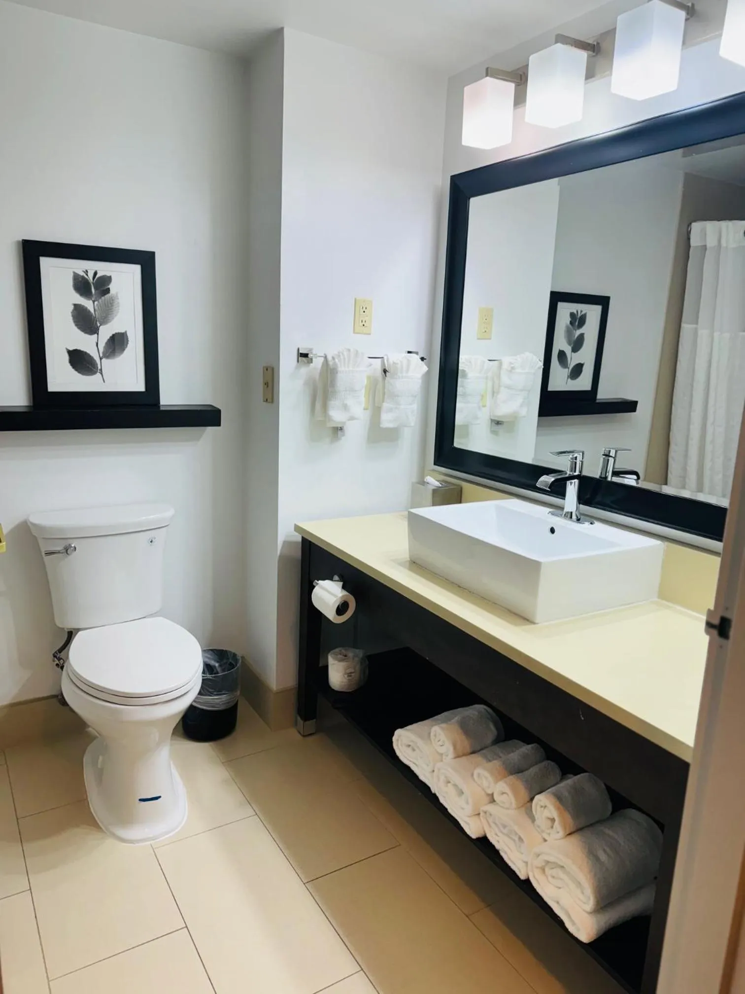 Toilet in Country Inn & Suites by Radisson, Lawrenceville, GA