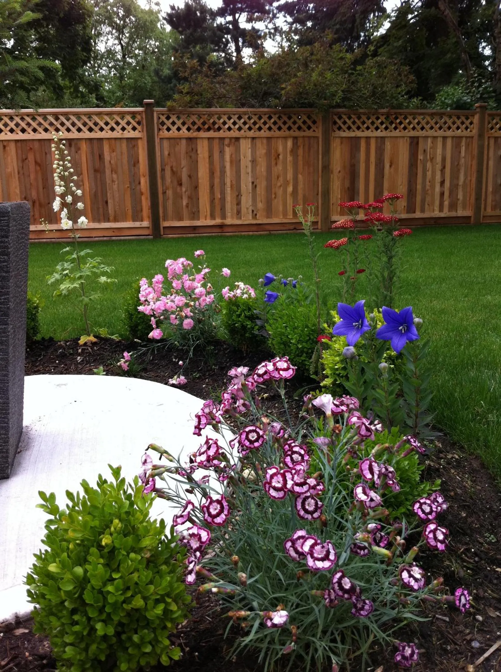 Spring in Imperial House