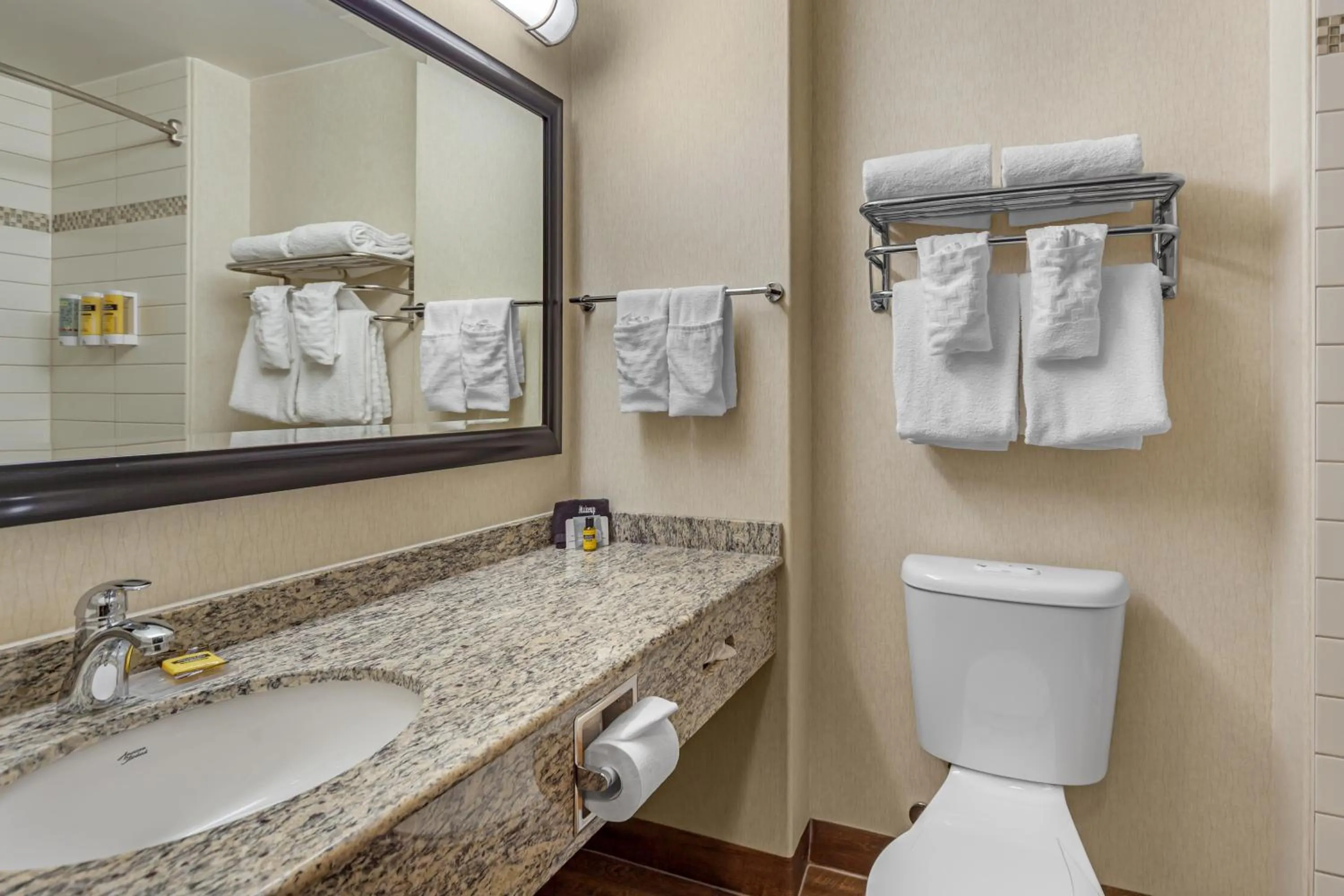 Bathroom in Best Western Plus St Albert