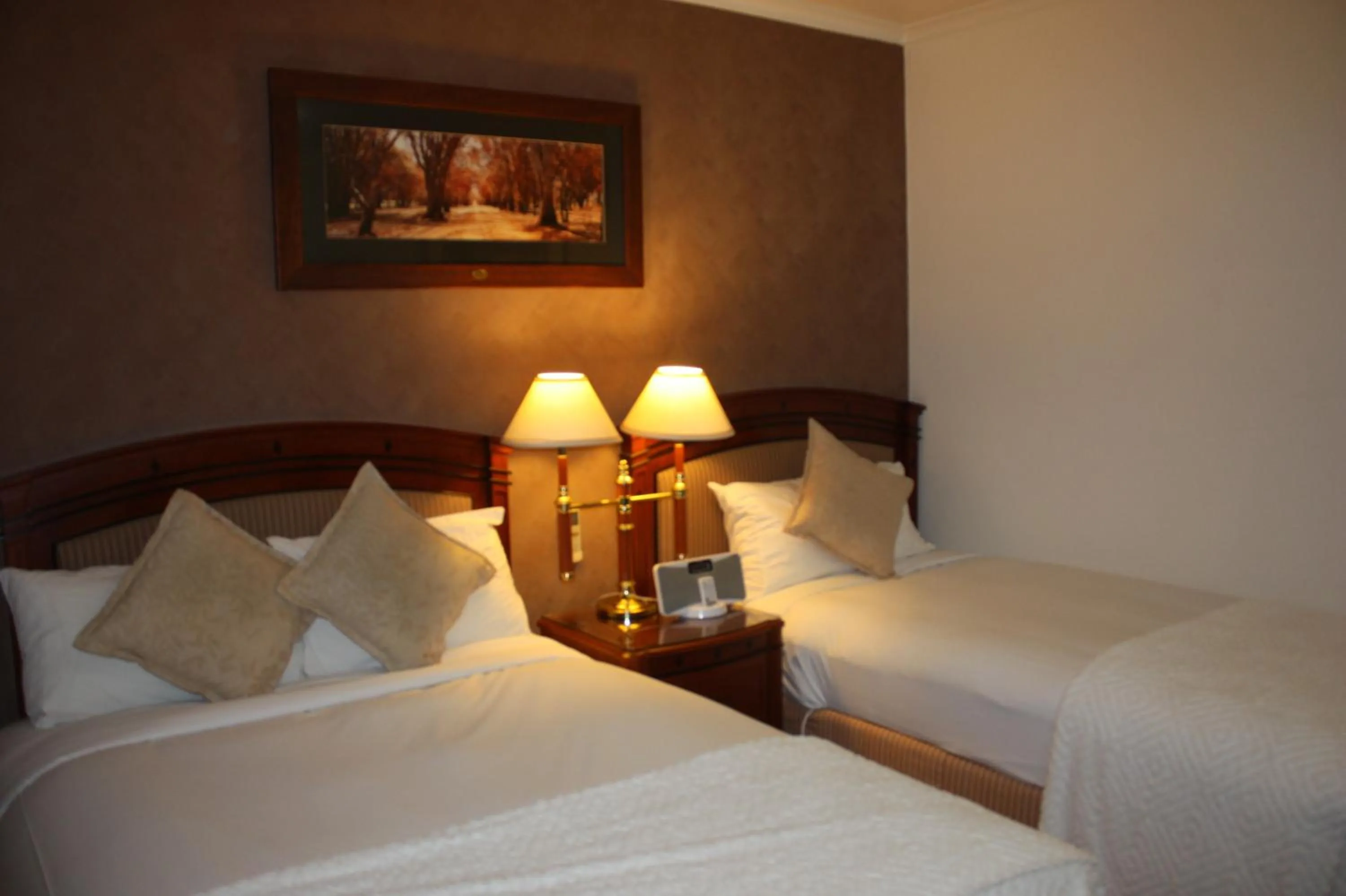 Bed in Country Plaza Motel