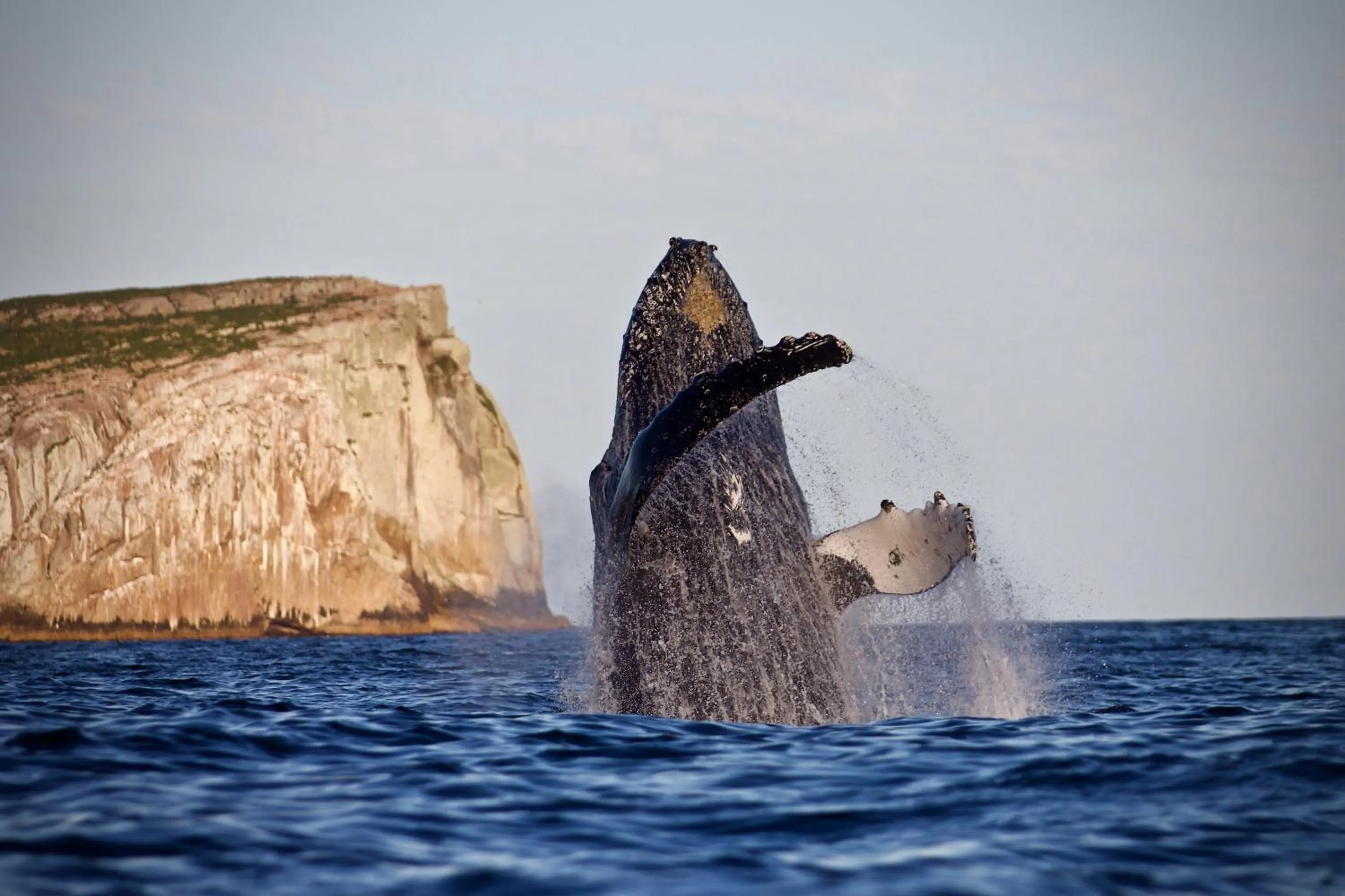 Natural landscape in Storm Bay B&B