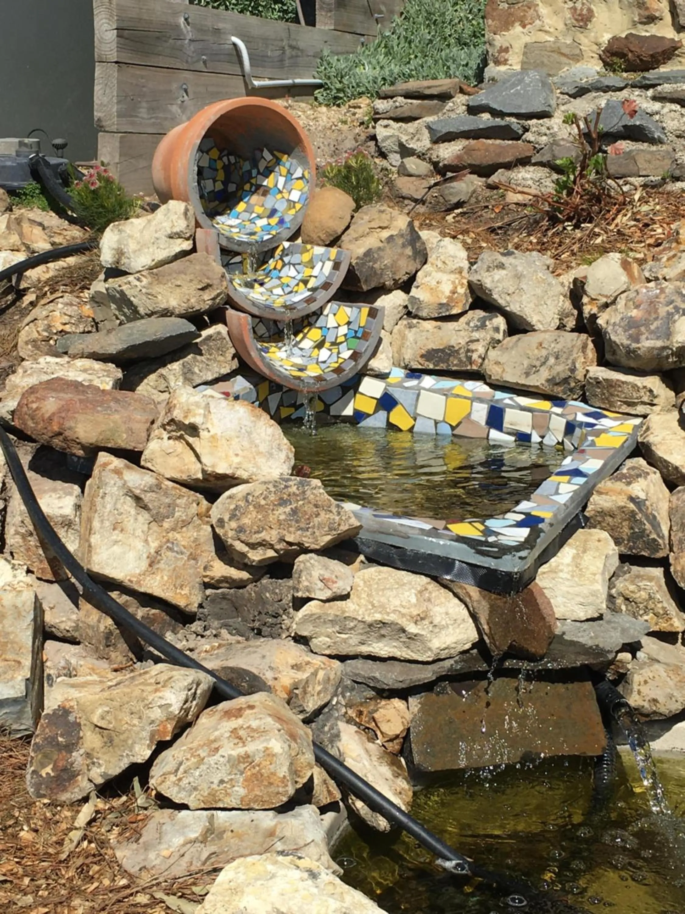 Garden in Storm Bay B&B