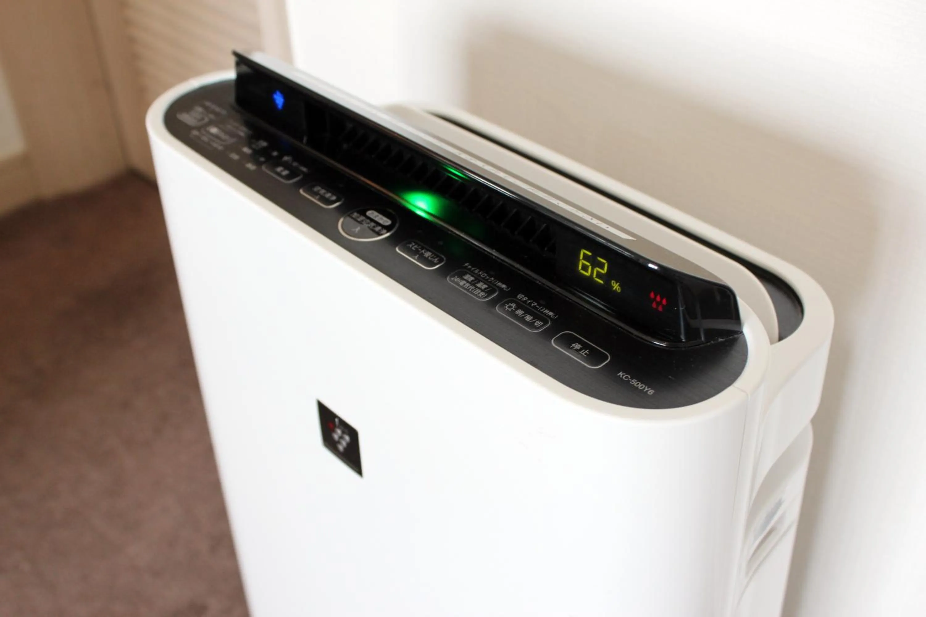 Decorative detail in Chateraise Gateaux Kingdom Sapporo