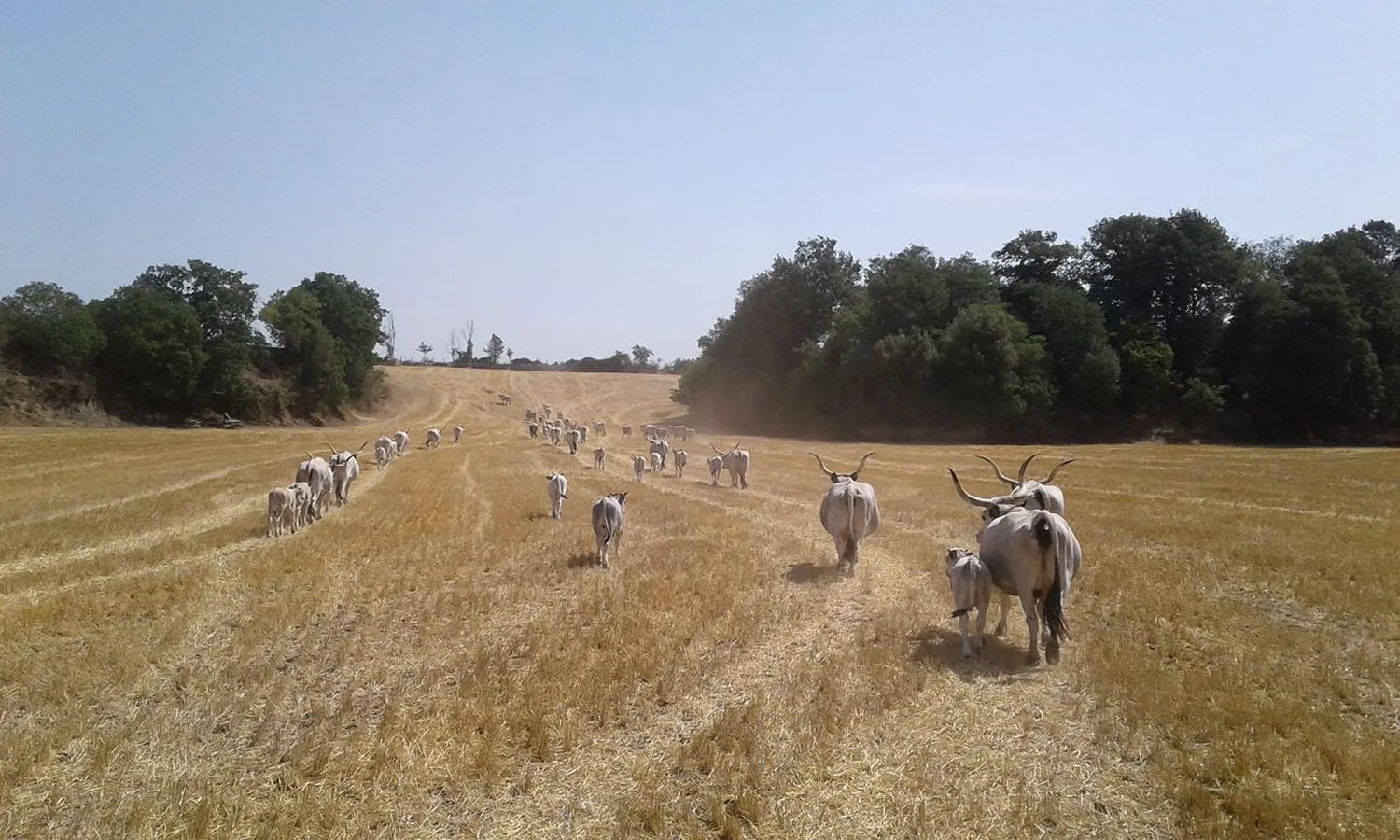 Off site in Resort Fonte Vulci