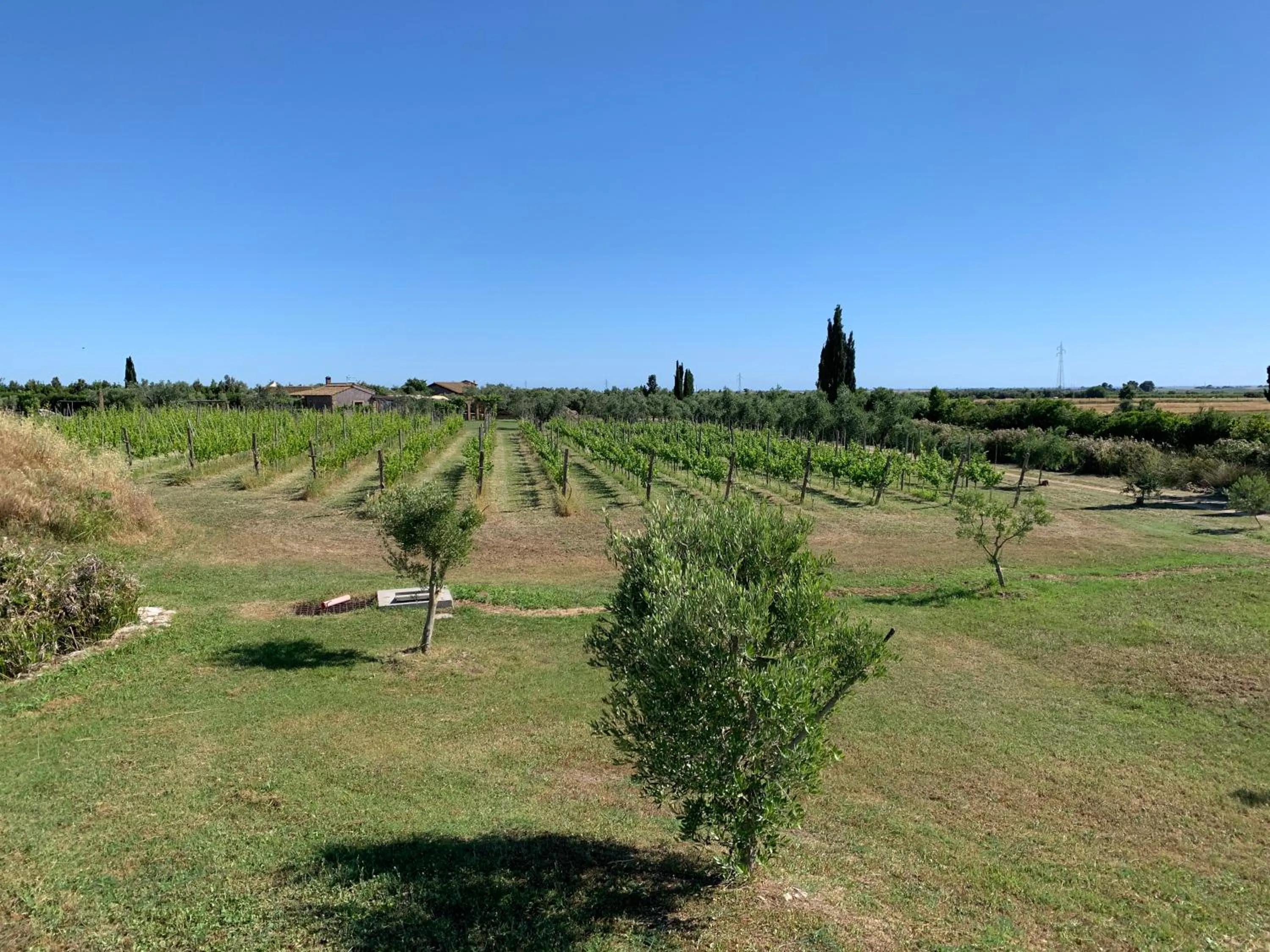 Natural landscape in Resort Fonte Vulci