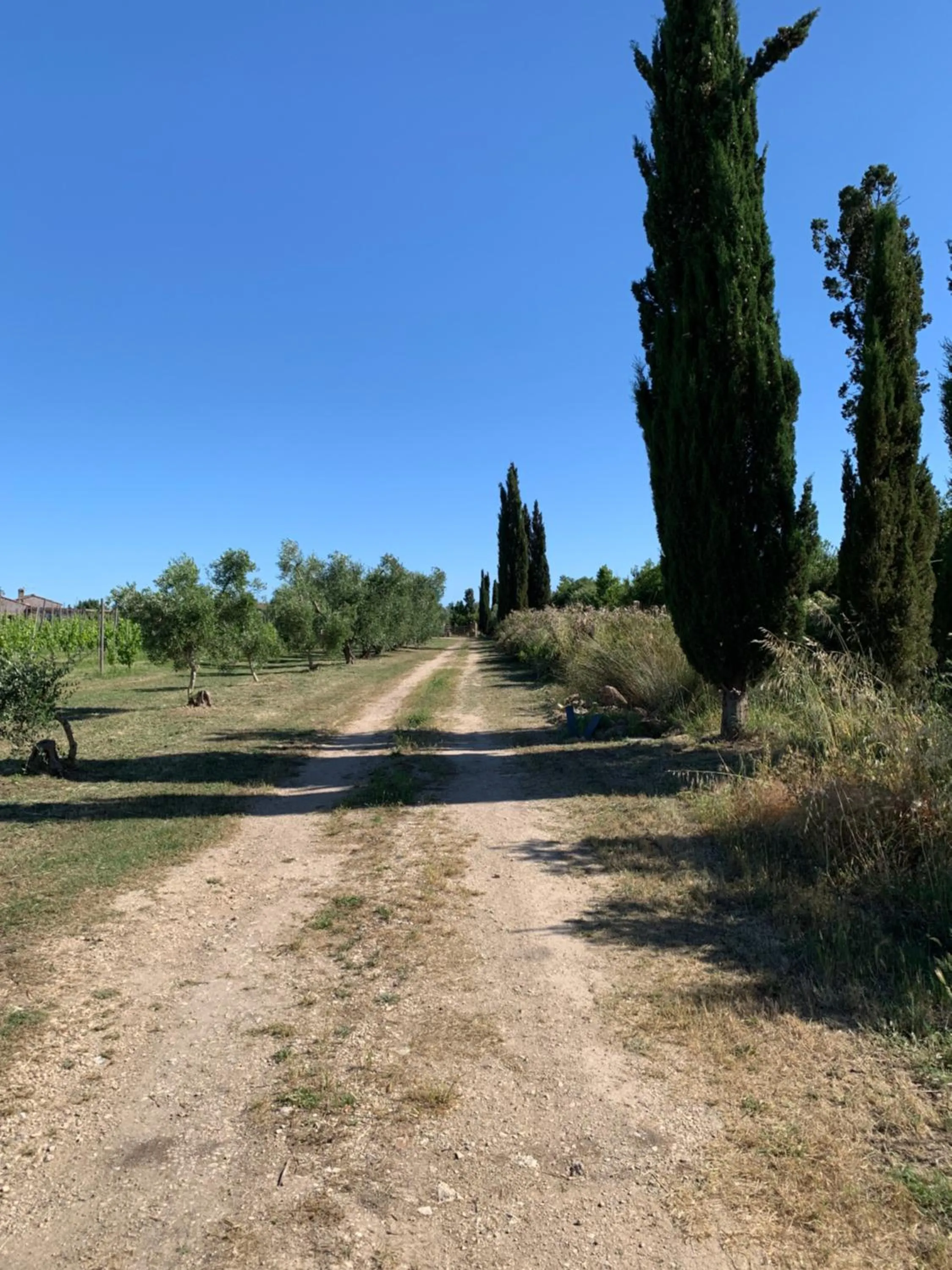 Garden in Resort Fonte Vulci