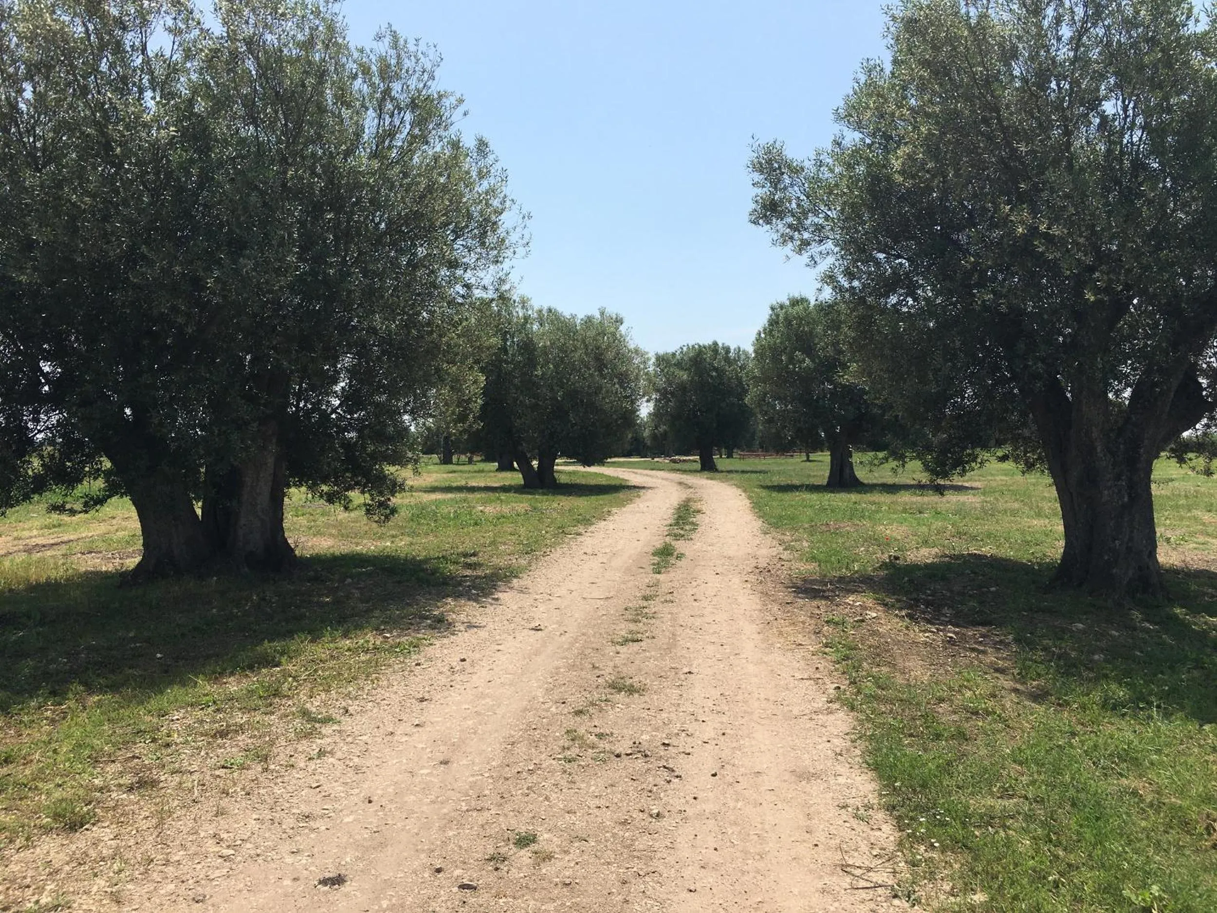 Garden in Resort Fonte Vulci