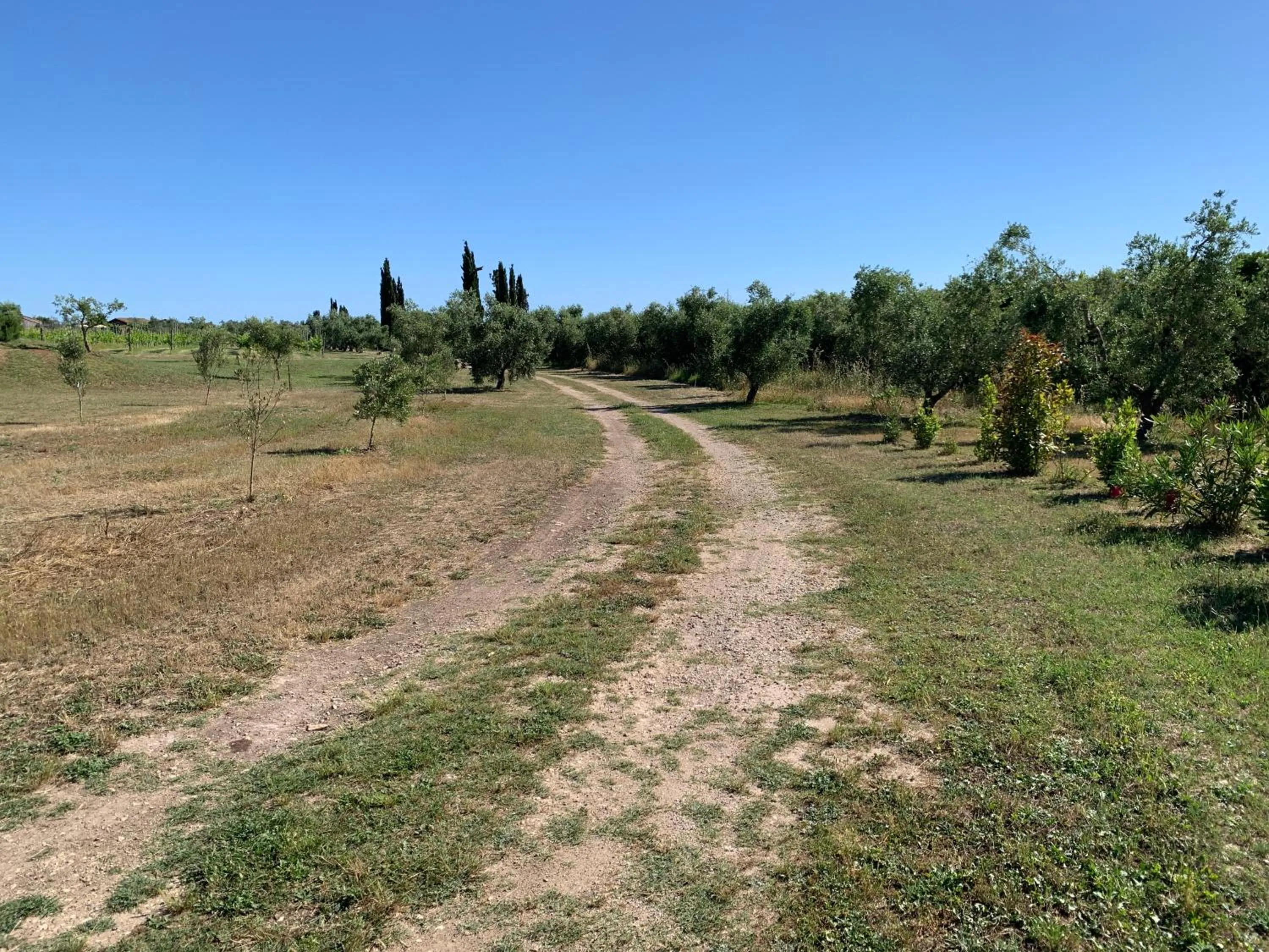 Garden in Resort Fonte Vulci