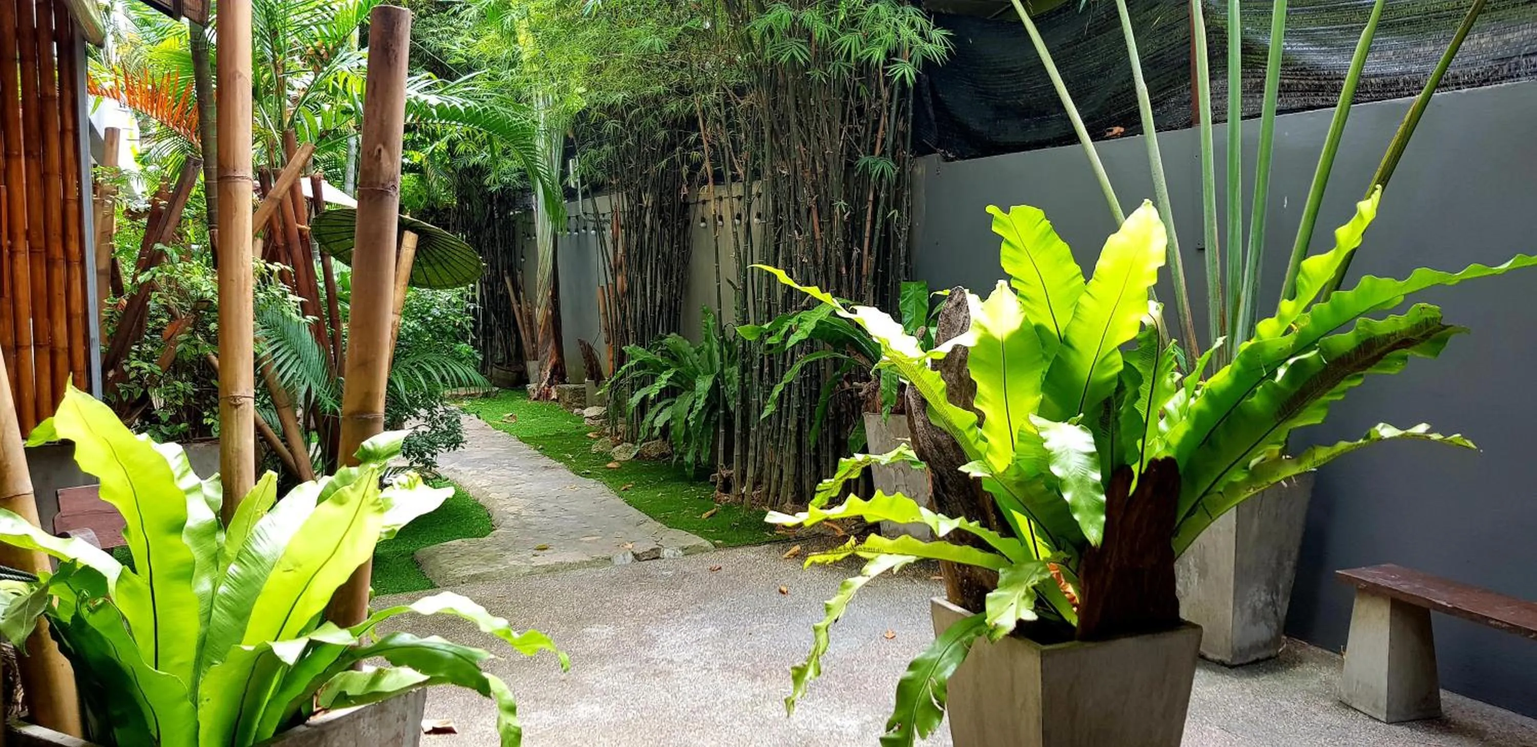 Garden in Sairee Sairee Guesthouse