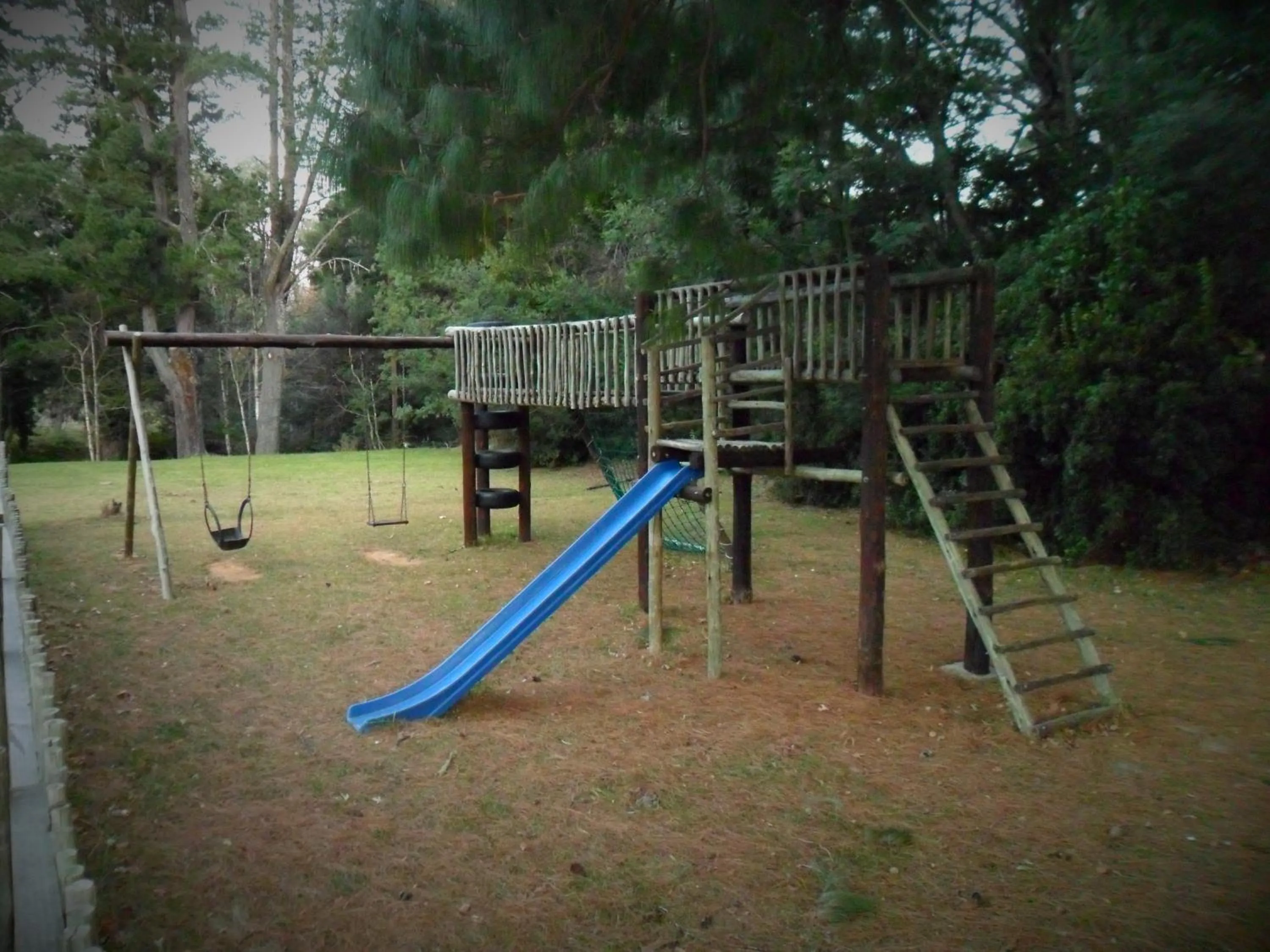 Garden in Kings Lodge Hotel