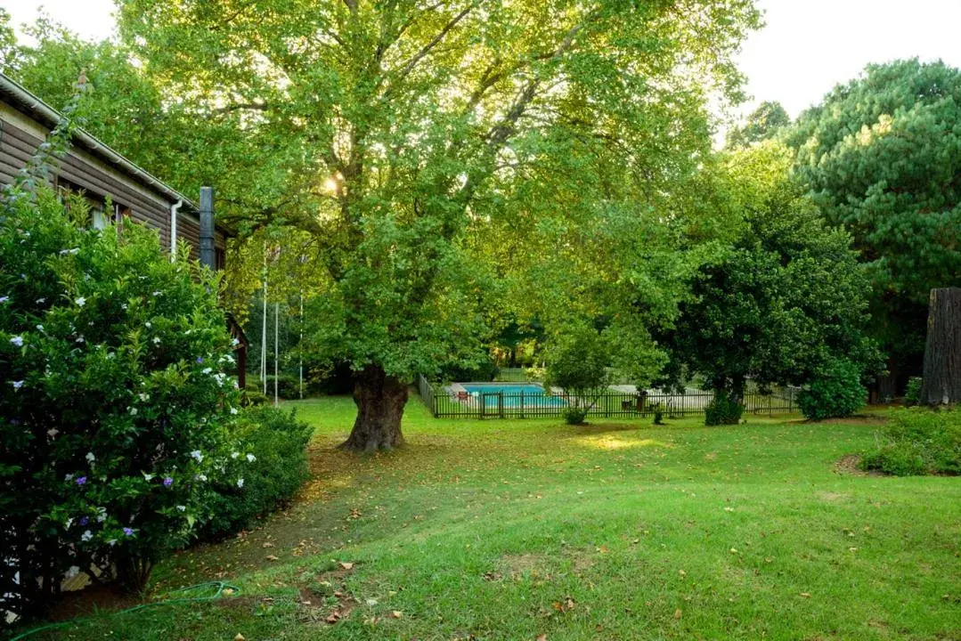 Family Bungalow in Kings Lodge Hotel Family Bungalow in Kings Lodge Hotel