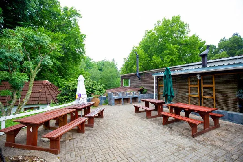 Garden in Kings Lodge Hotel