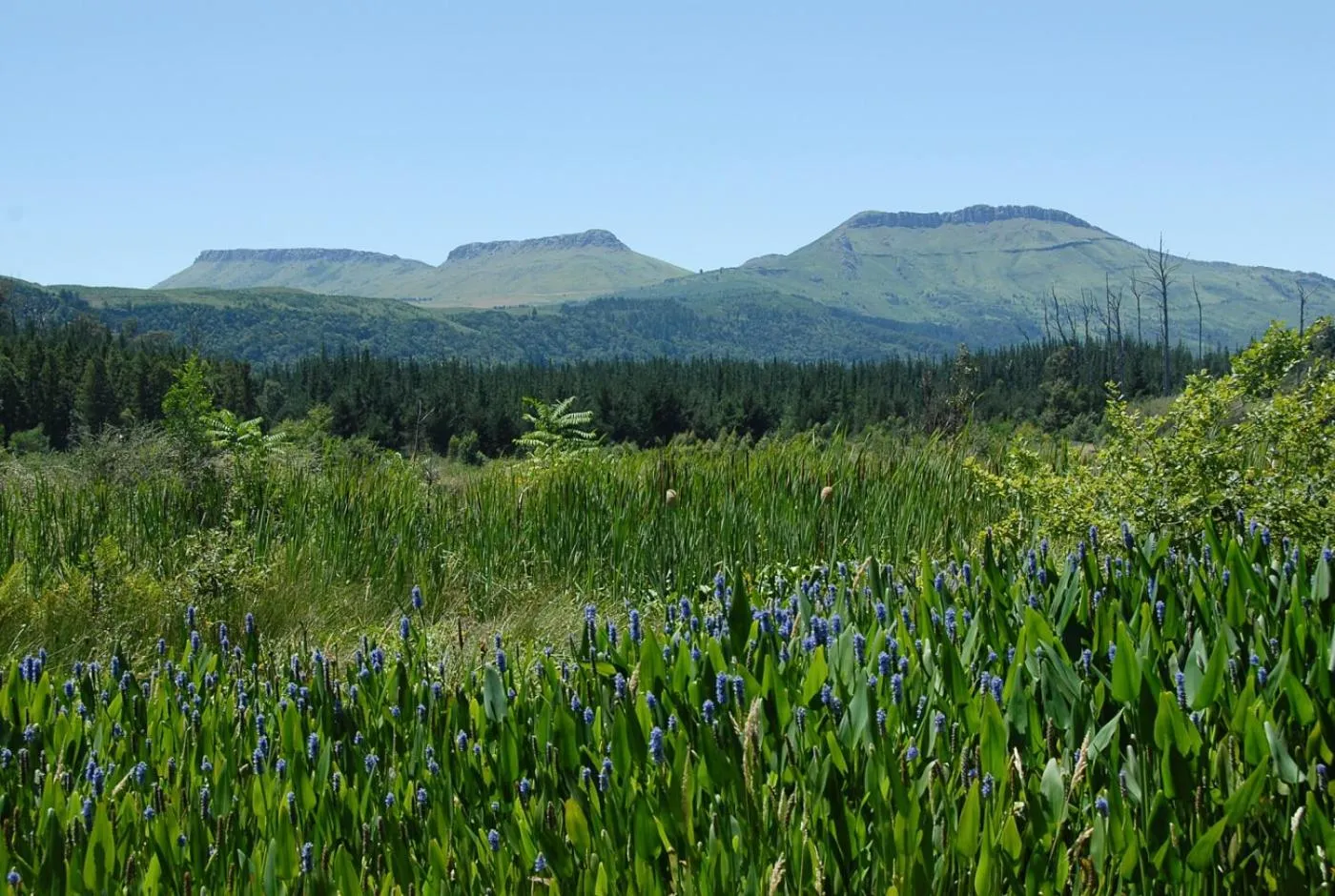 Other in Kings Lodge Hotel