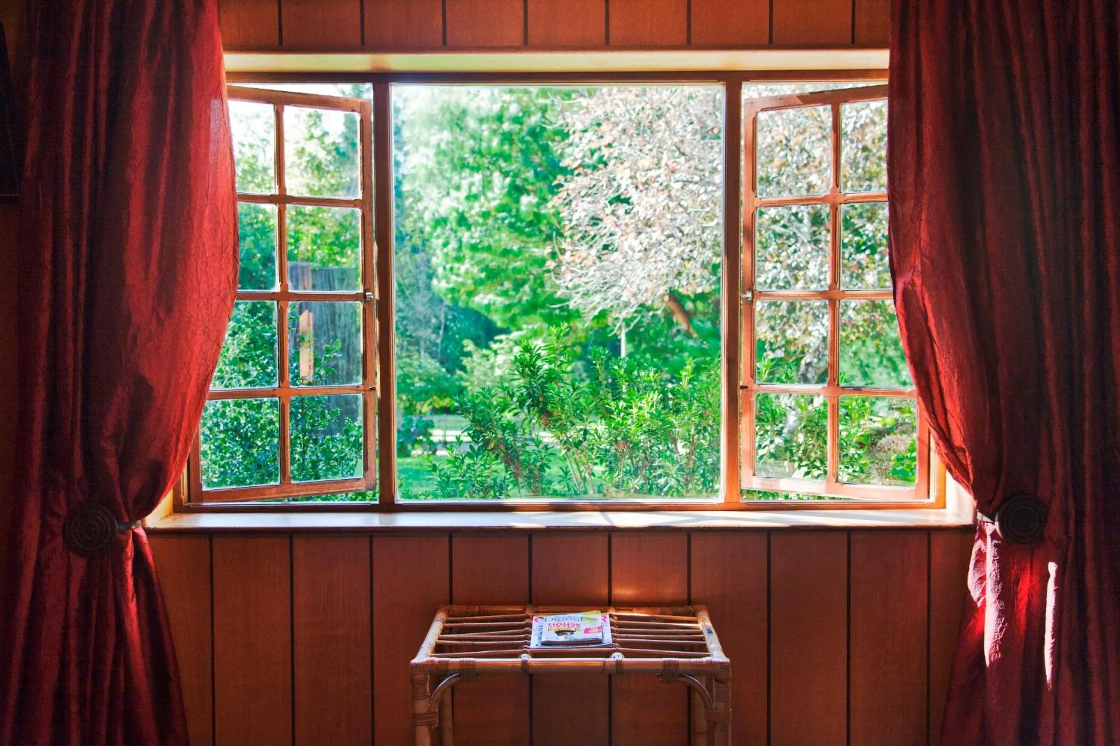 Garden view in Kings Lodge Hotel