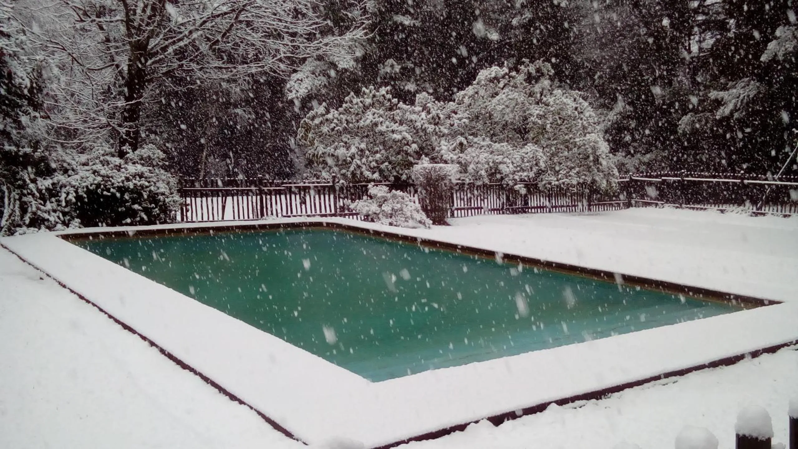 Swimming pool in Kings Lodge Hotel