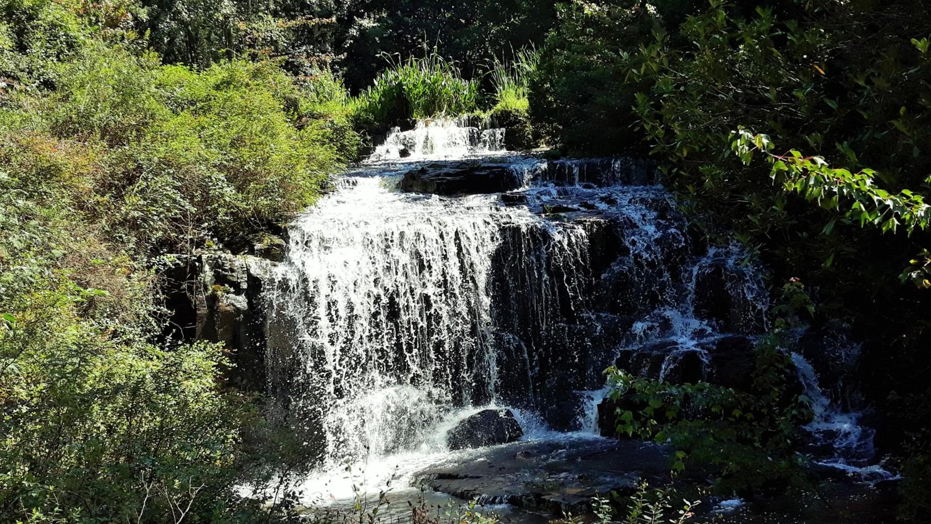 Other in Kings Lodge Hotel