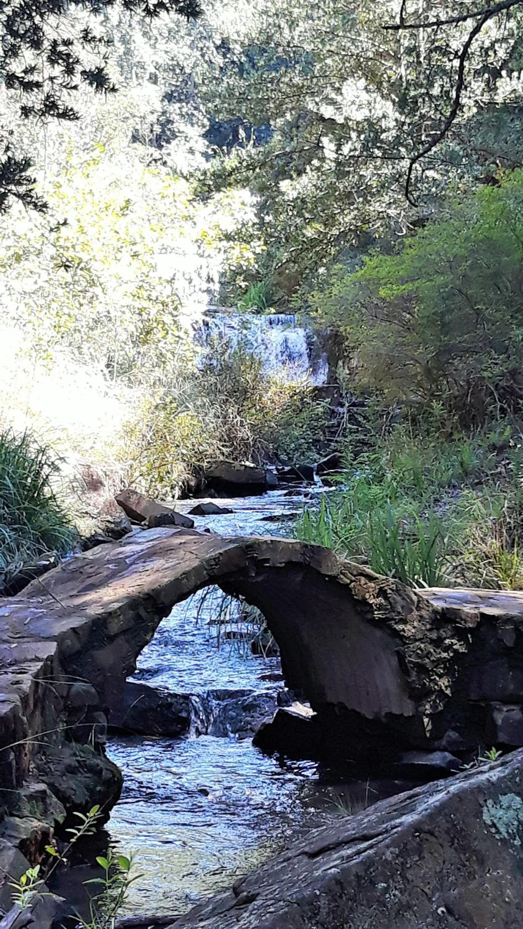 Other in Kings Lodge Hotel