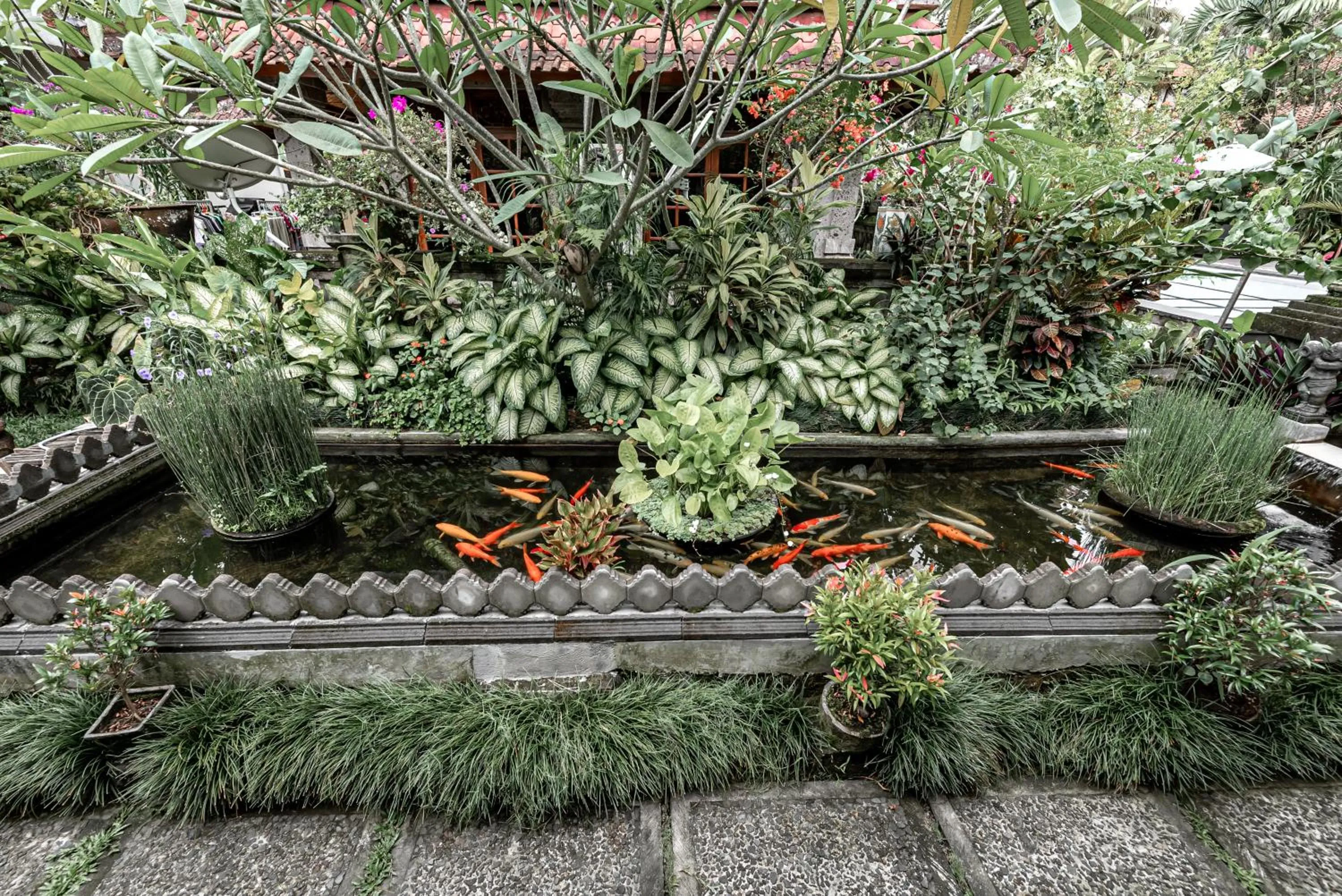 Garden in Gunung Merta Bungalows