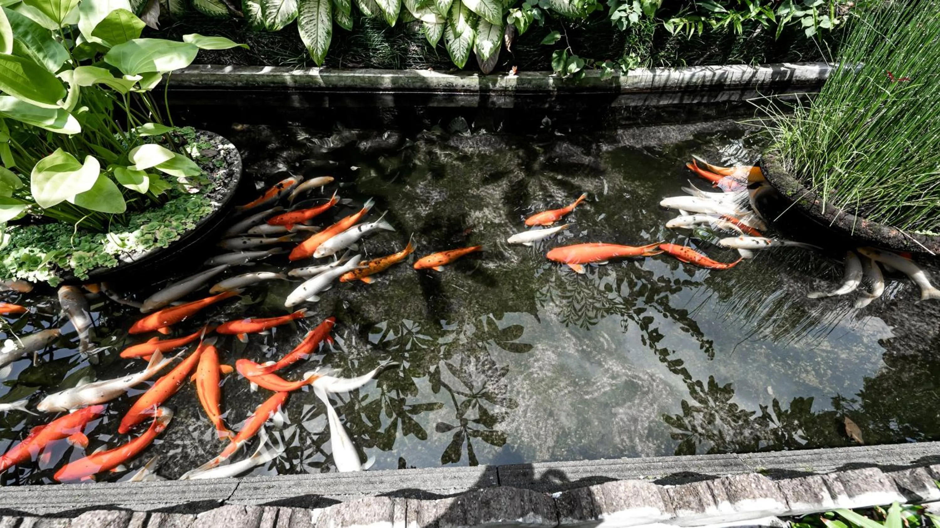 Property building in Gunung Merta Bungalows