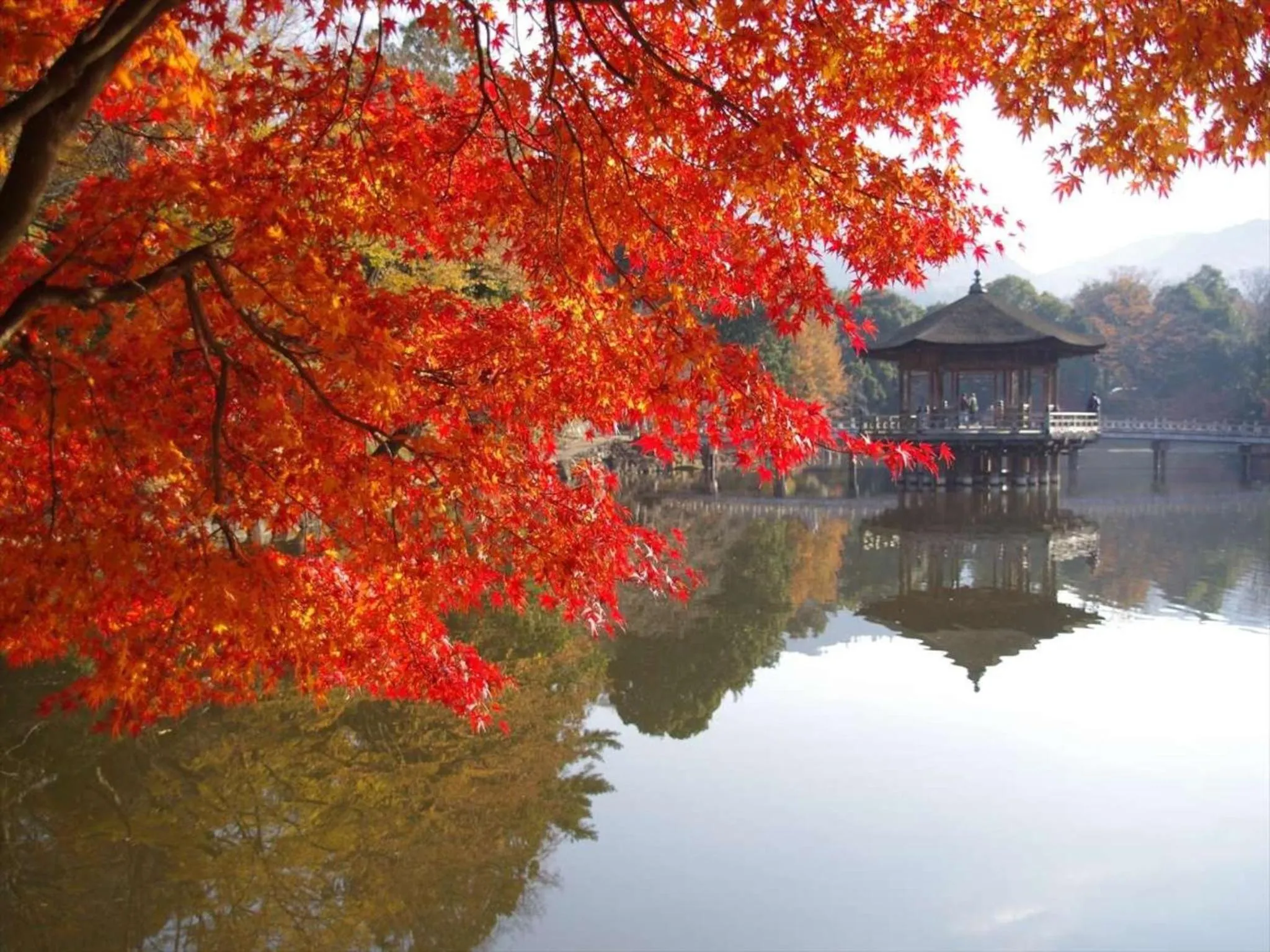 Natural landscape in Hotel New Wakasa