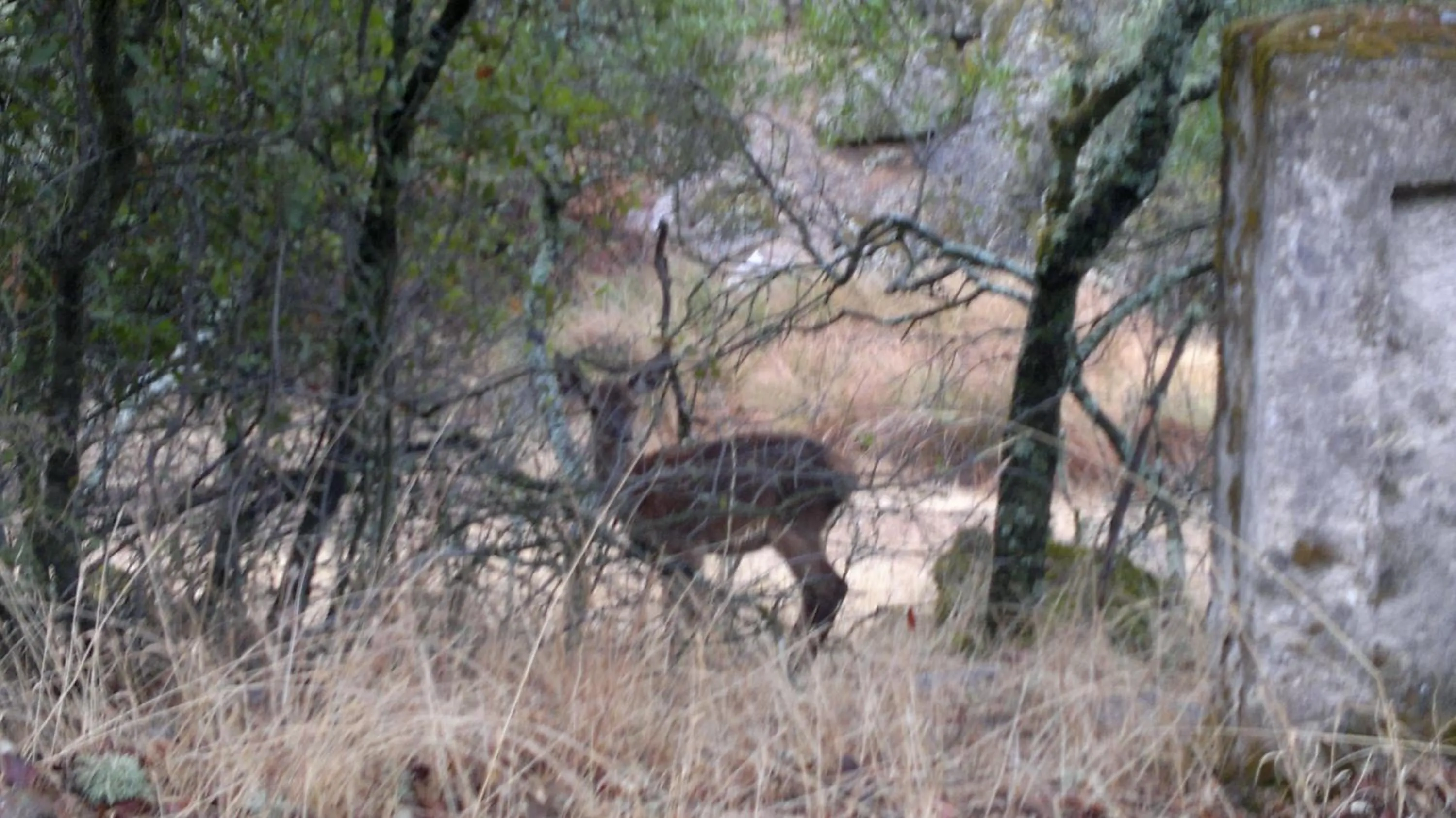 Other in Apartamentos Paraje San Gines