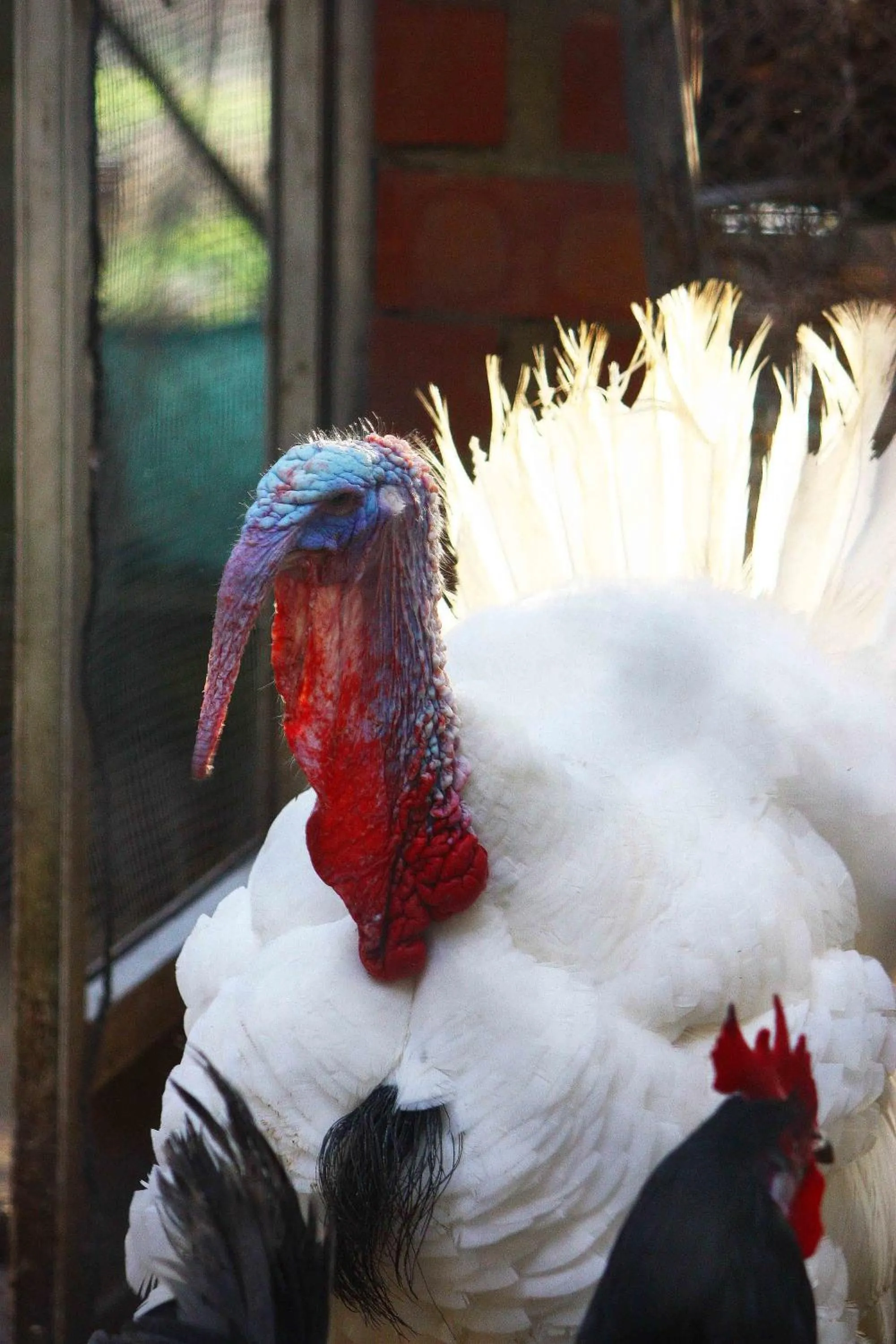 Area and facilities in Apartamentos Paraje San Gines