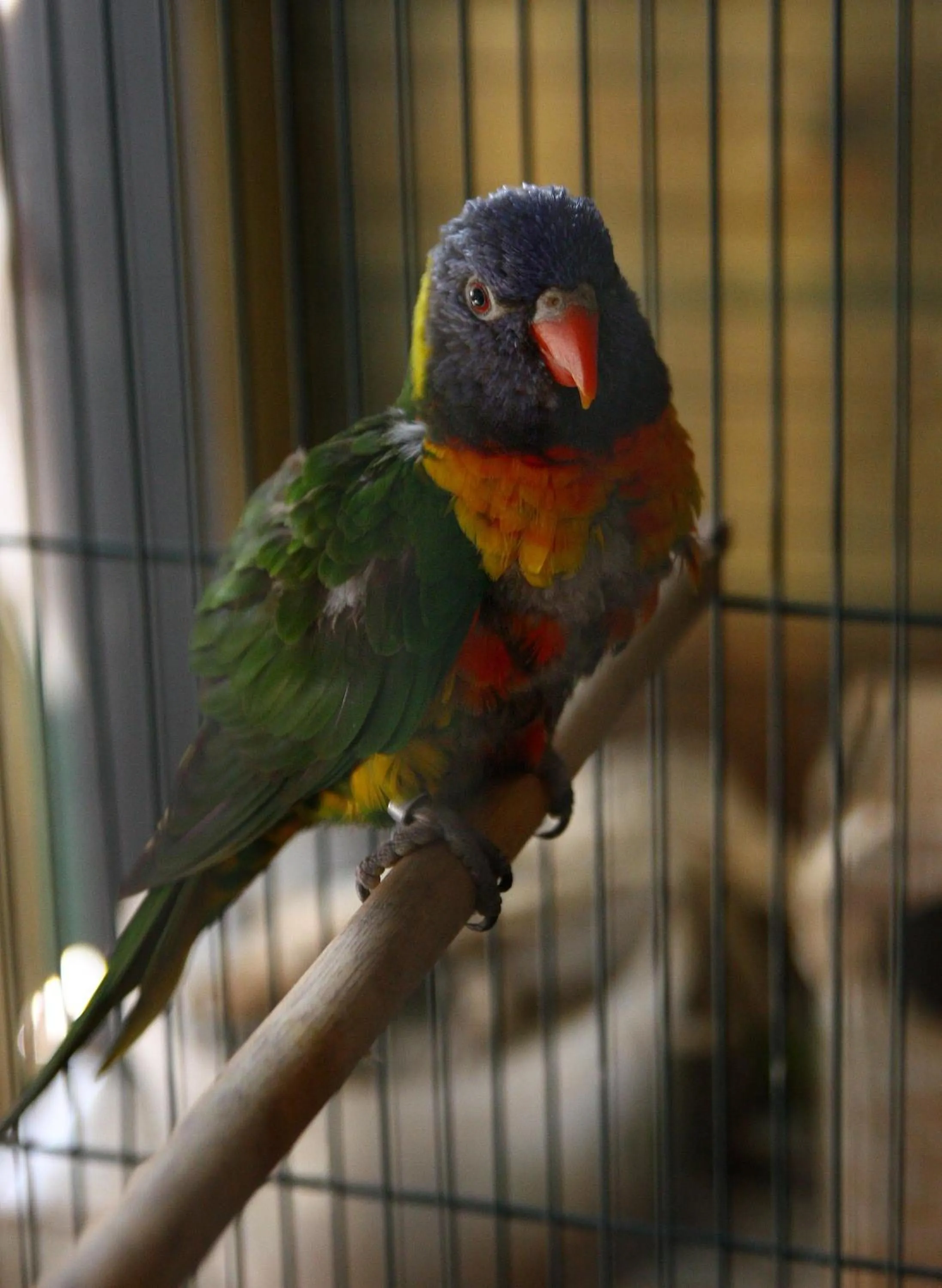 Area and facilities in Apartamentos Paraje San Gines