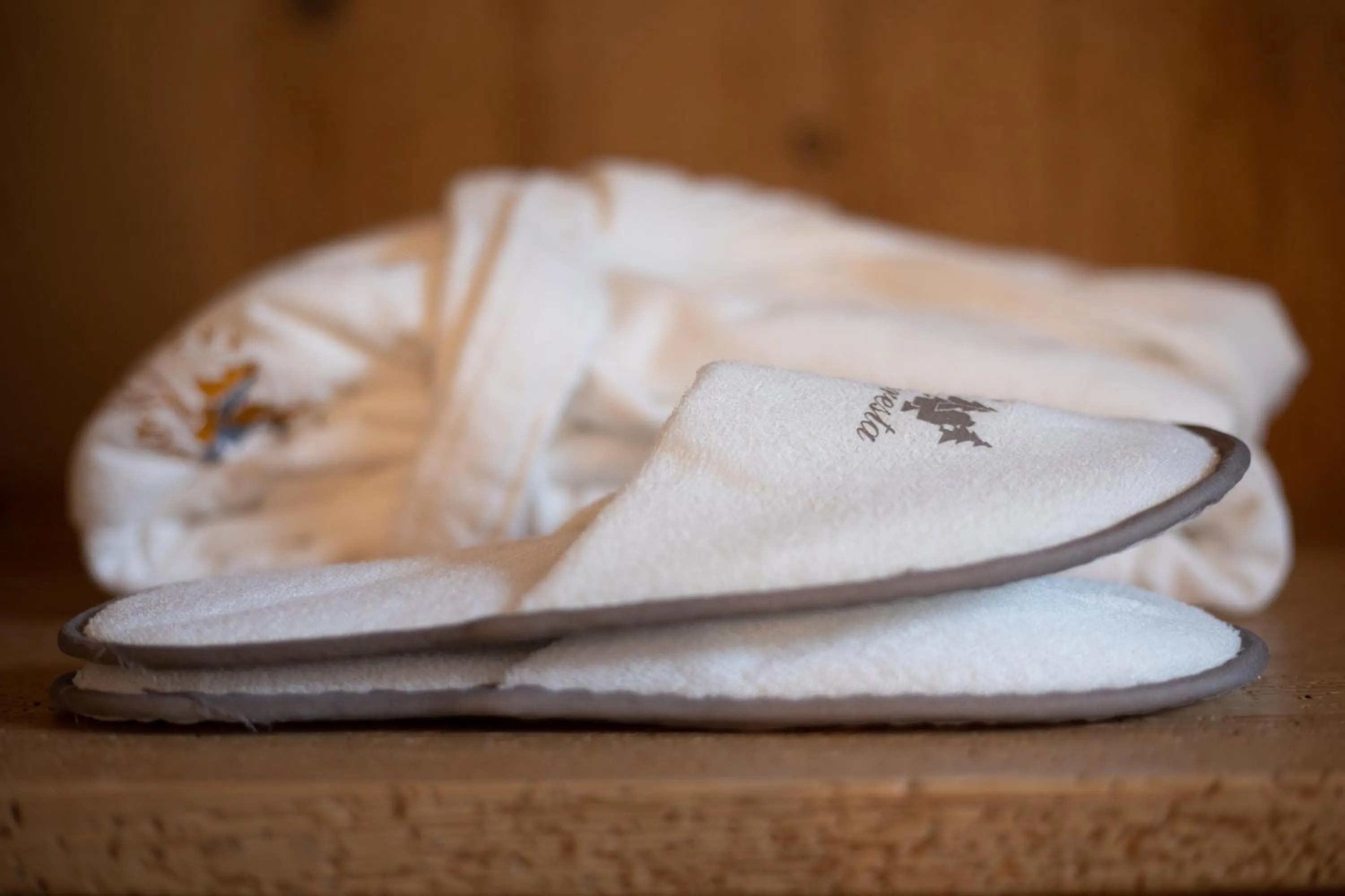 Area and facilities in Hotel Foresta