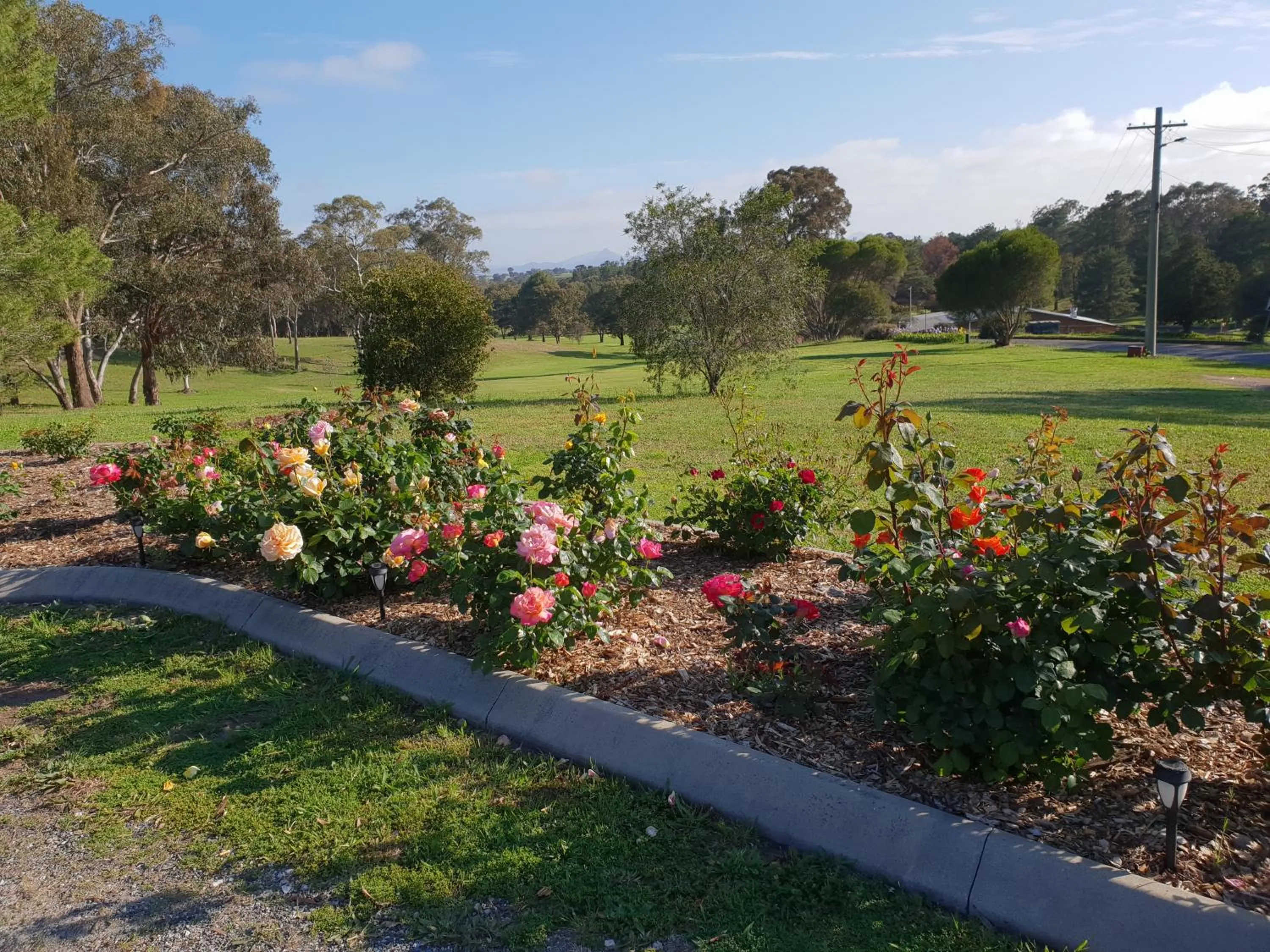 Garden view in Kandos Fairways Motel