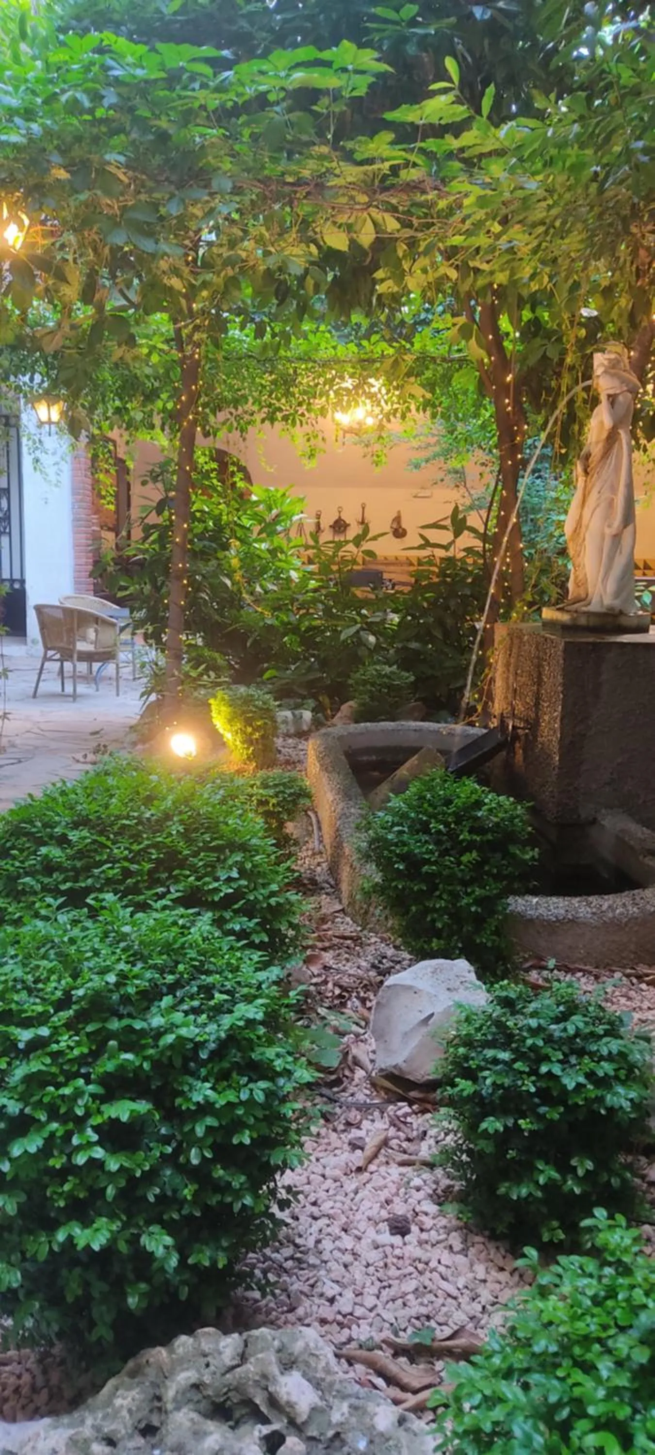 Garden in Hotel Jardí Apartaments