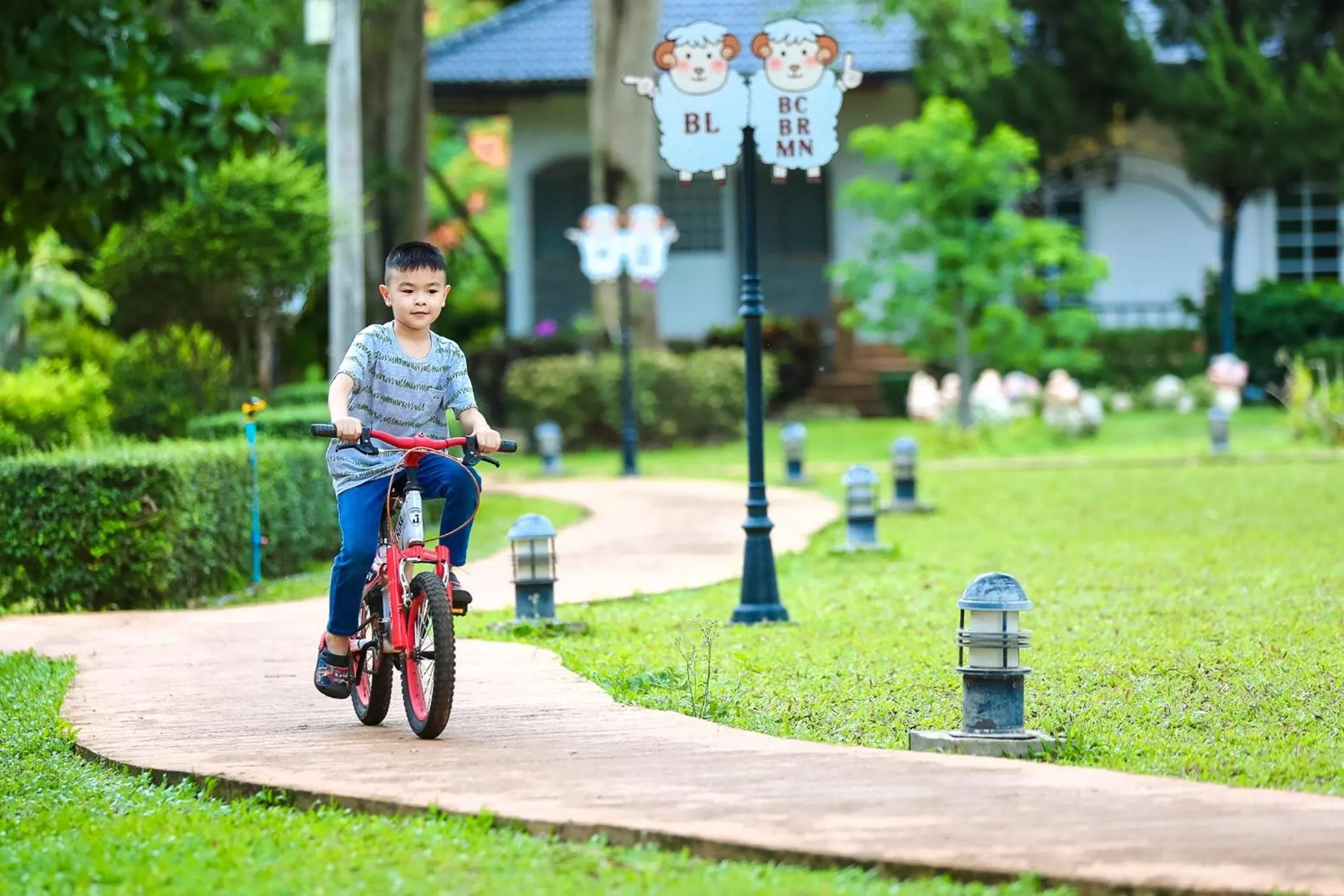Cycling in Diamond Hill Resort