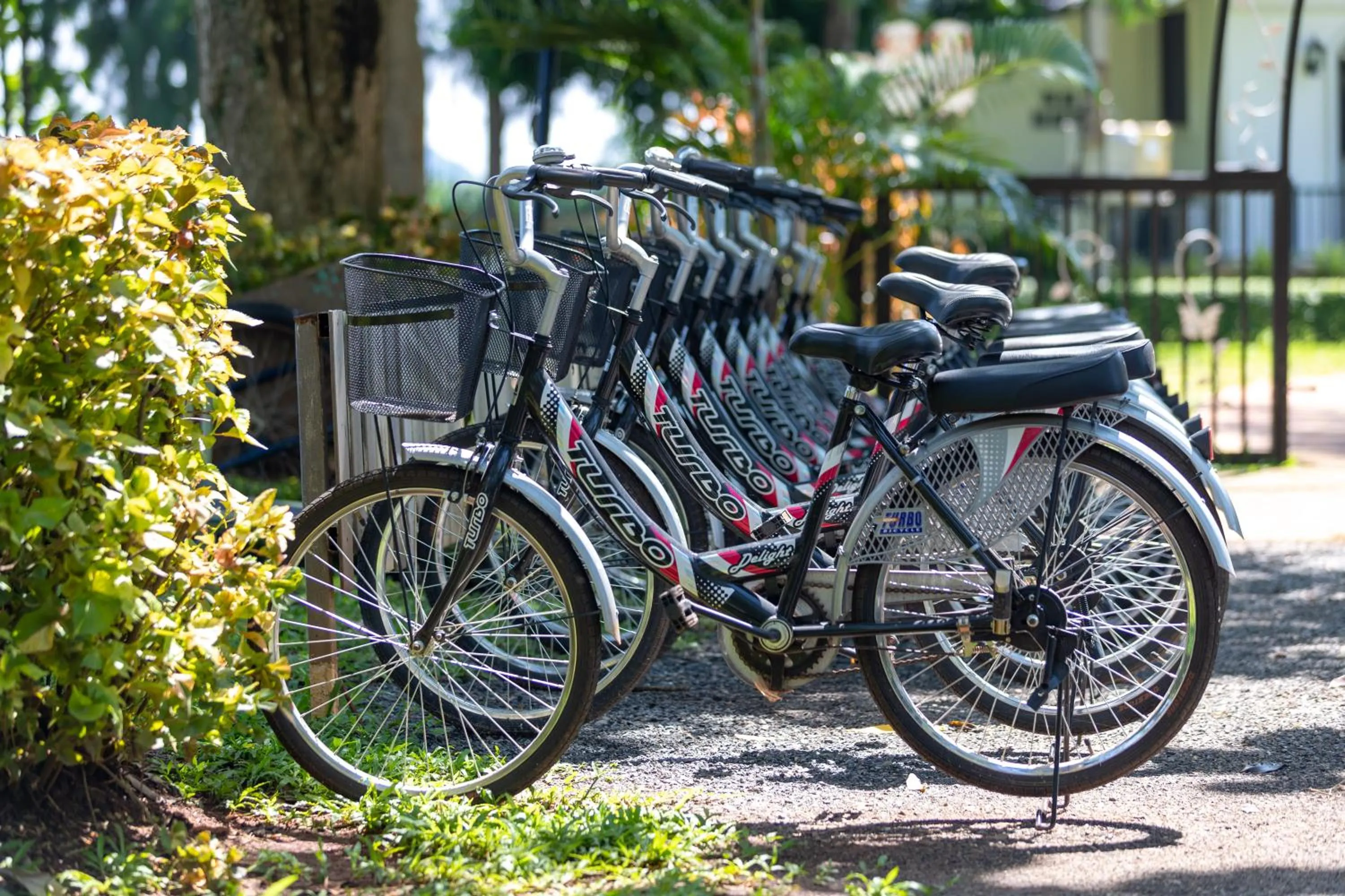 Activities in Diamond Hill Resort