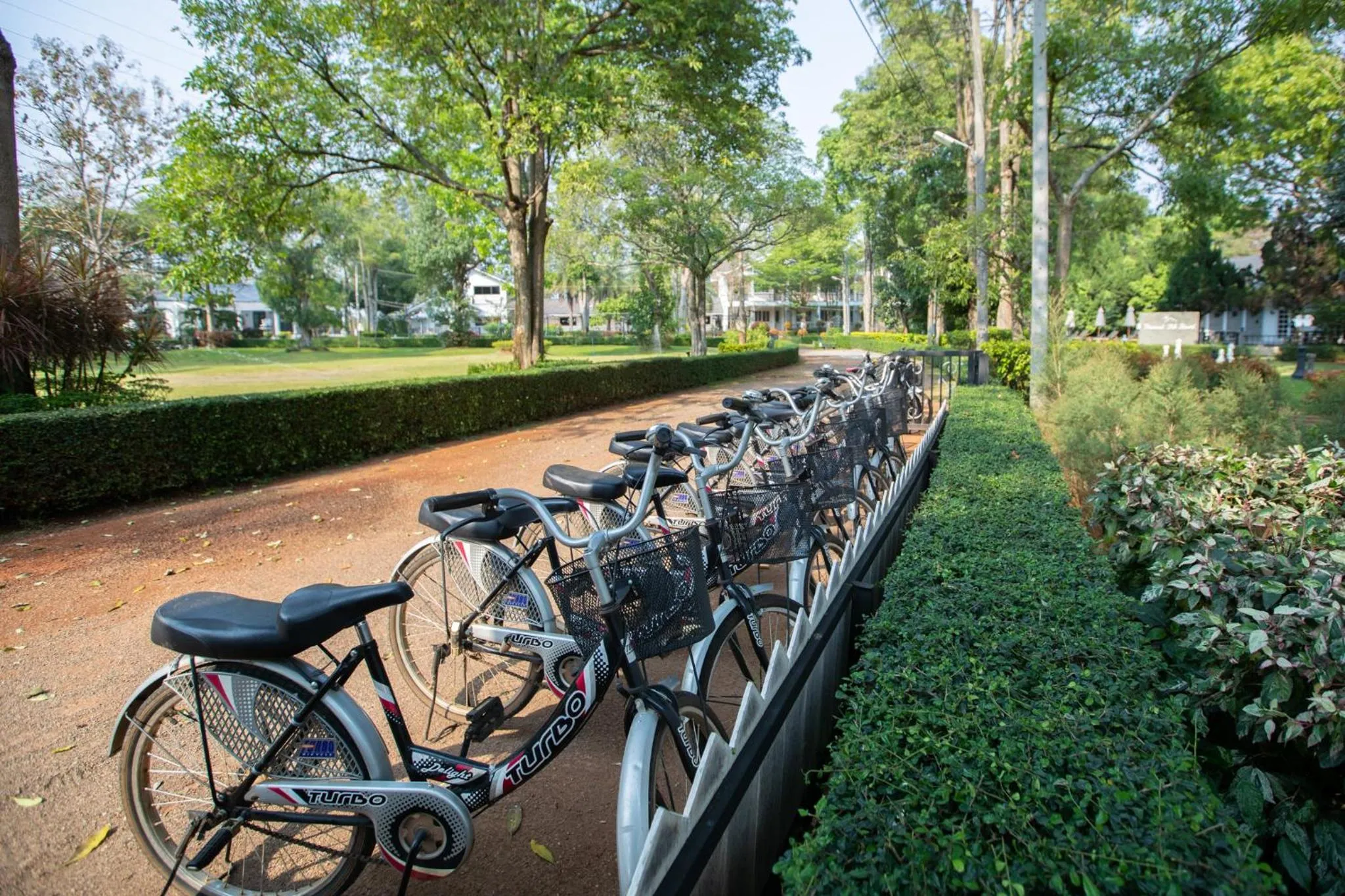 Area and facilities in Diamond Hill Resort