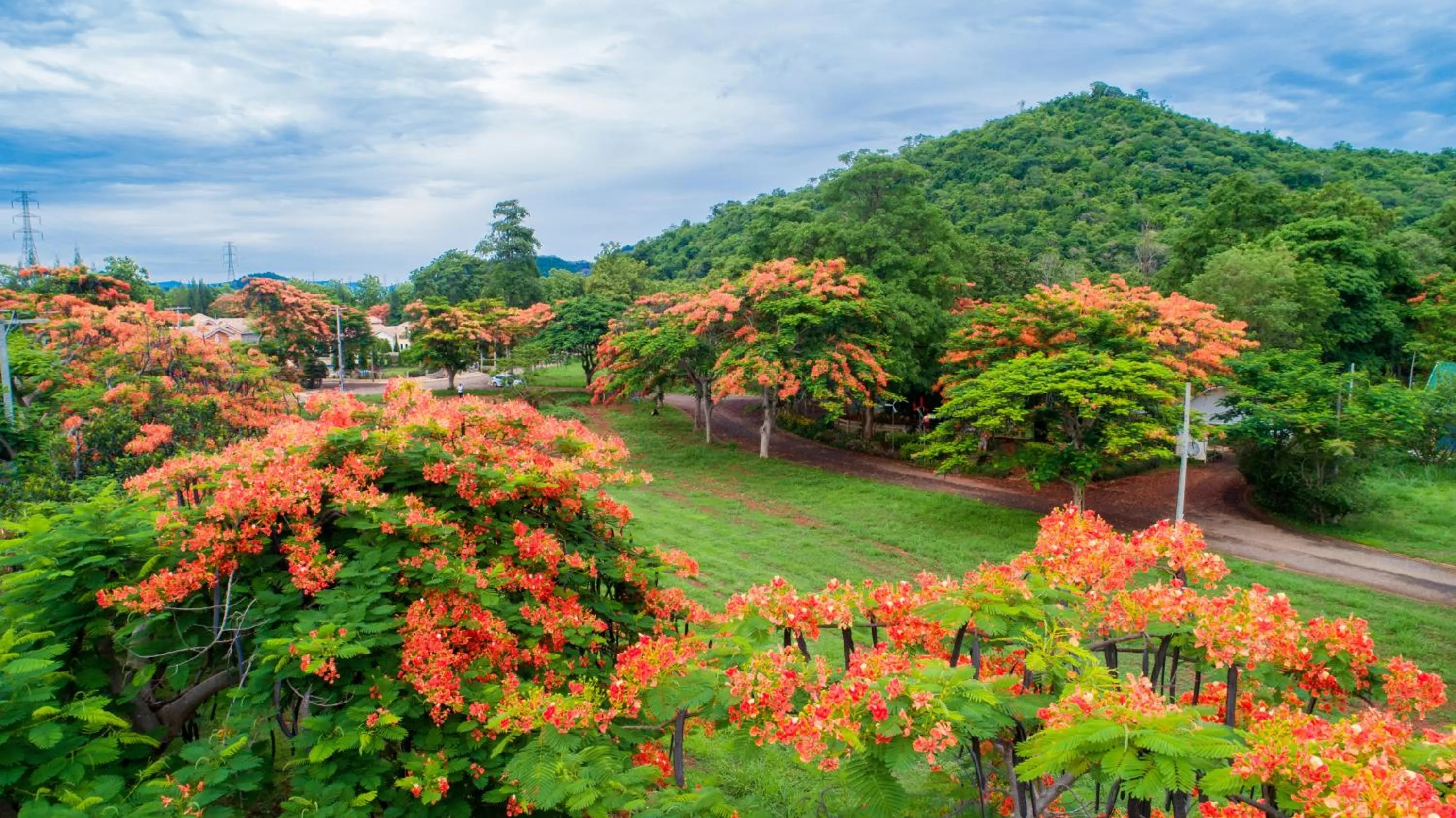 Natural landscape in Diamond Hill Resort