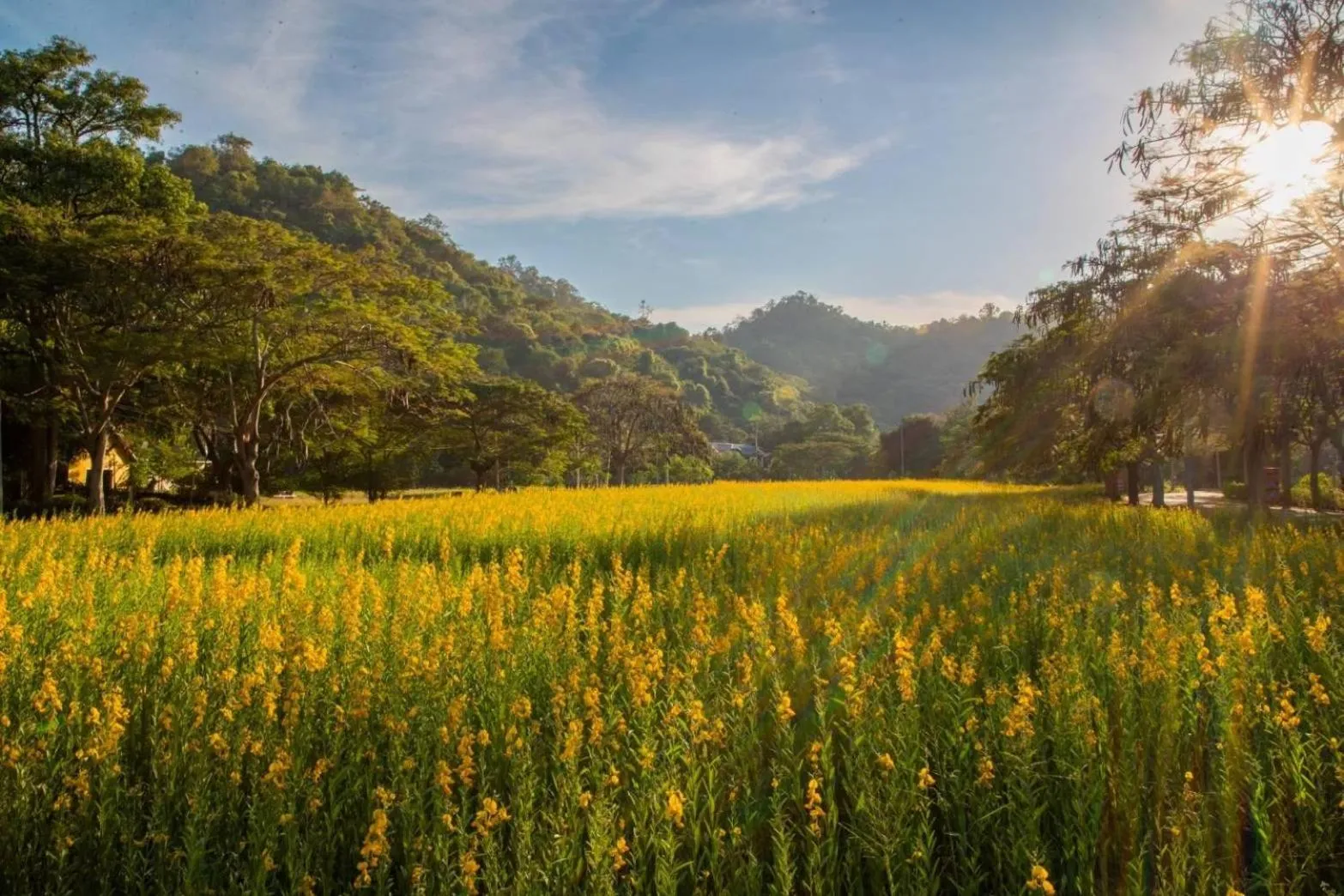 Property building in Diamond Hill Resort