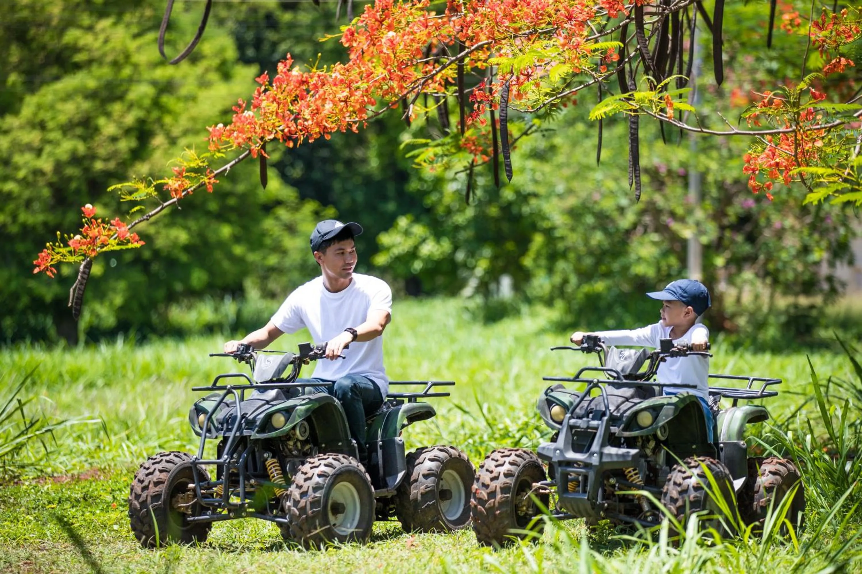 Activities in Diamond Hill Resort