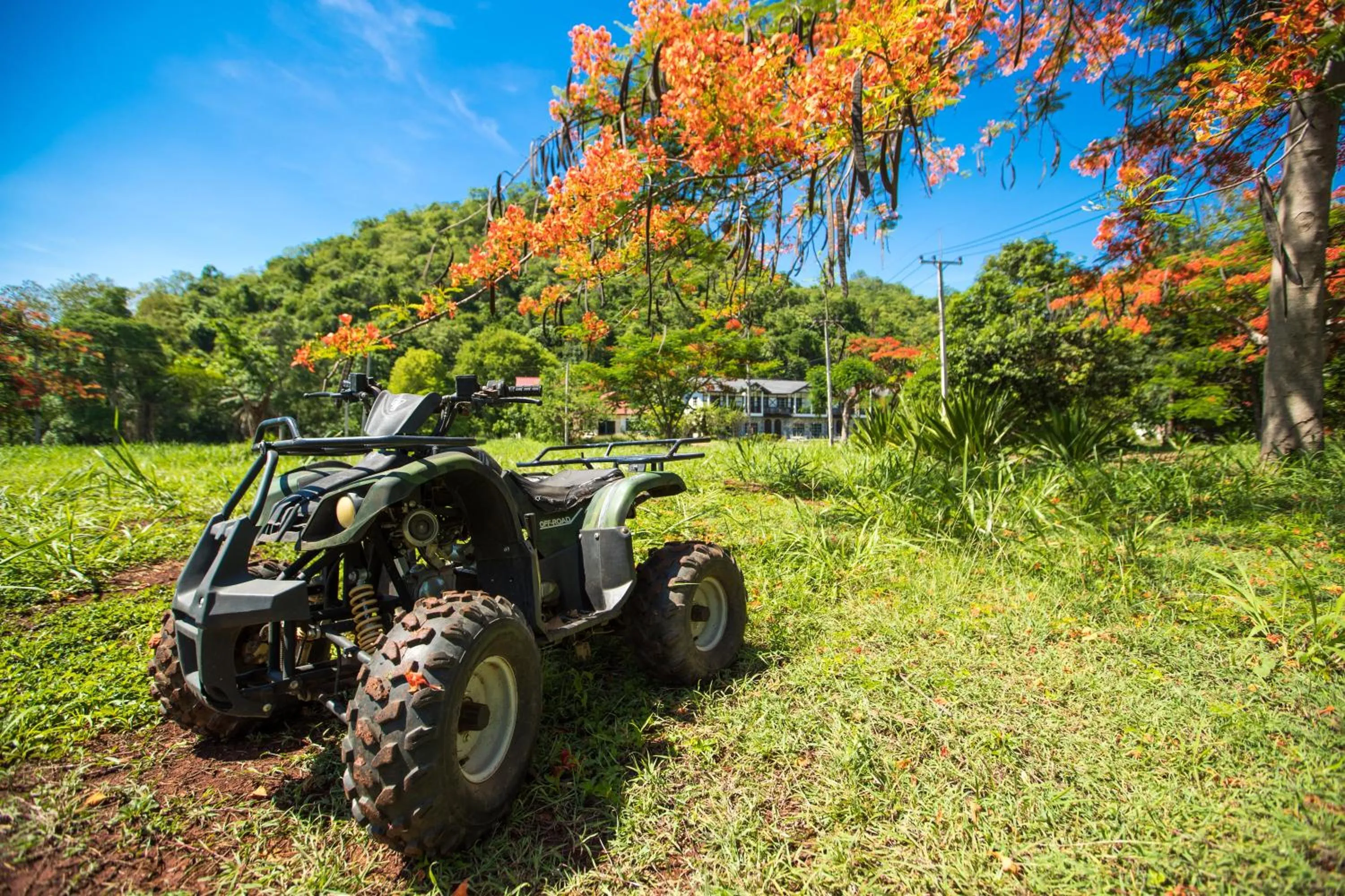 Activities in Diamond Hill Resort