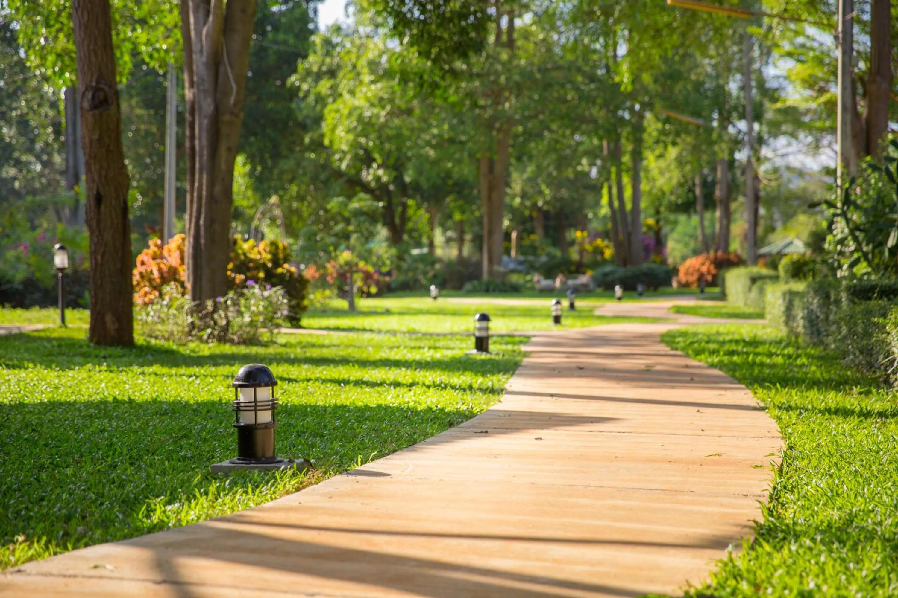 Garden in Diamond Hill Resort
