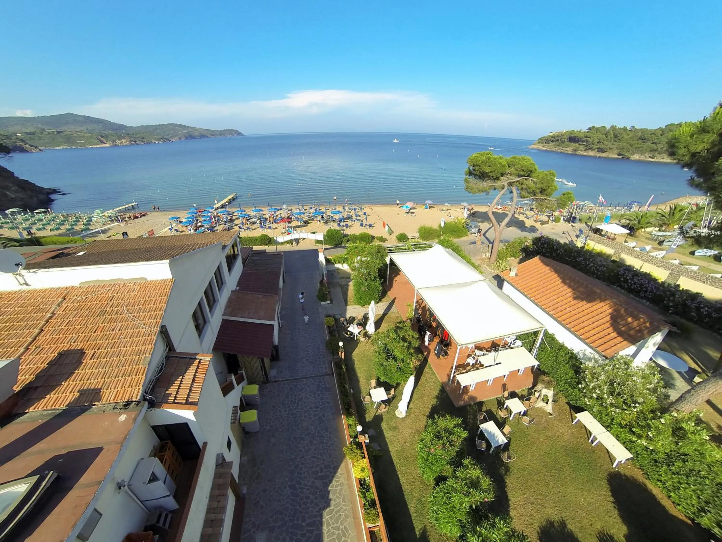 Day in Frank's Hotel