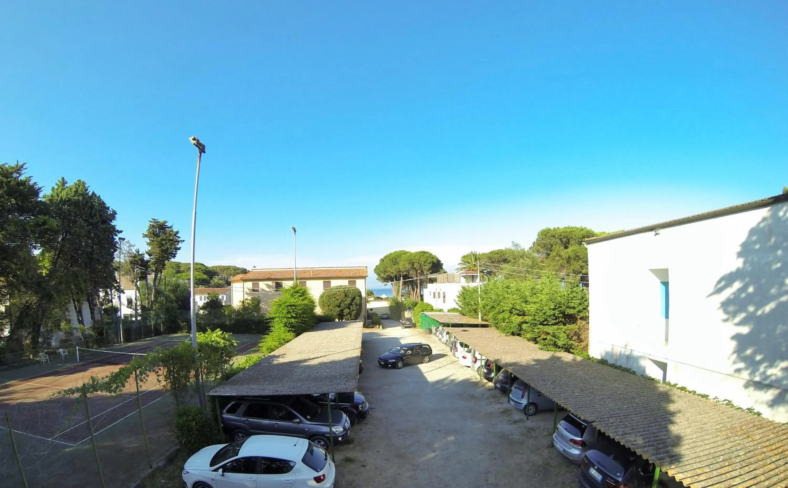 Day in Frank's Hotel