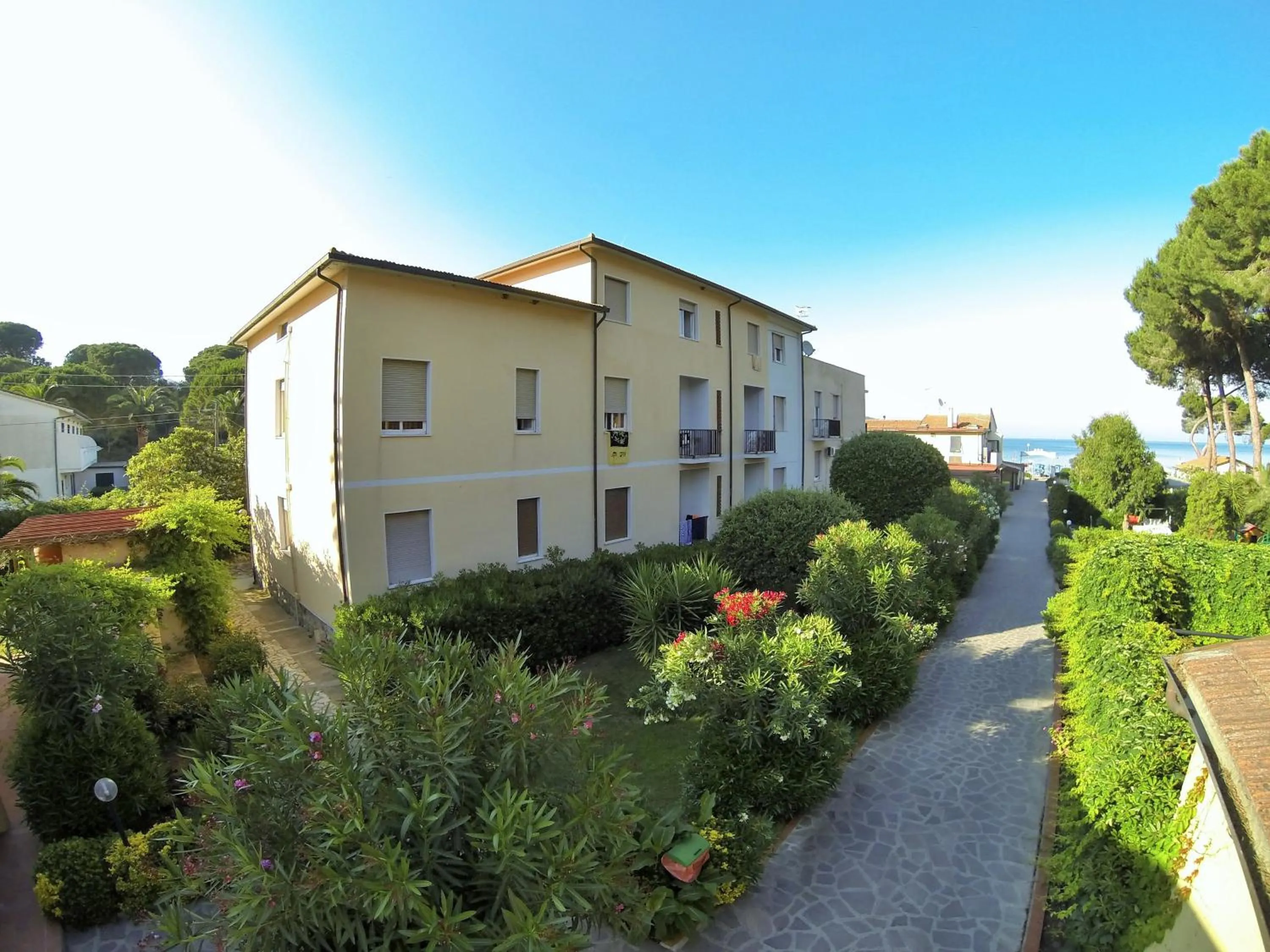 Day in Frank's Hotel