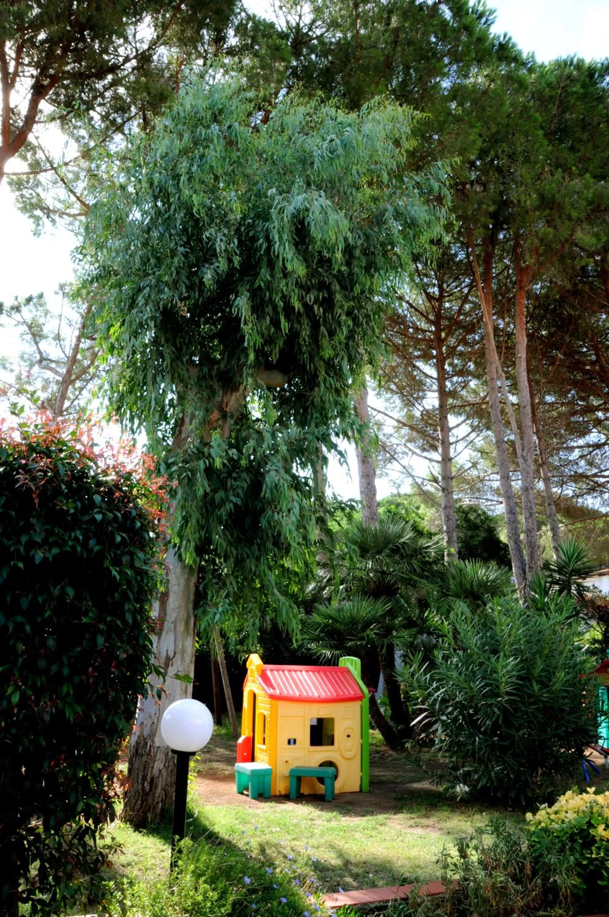 Children play ground in Frank's Hotel