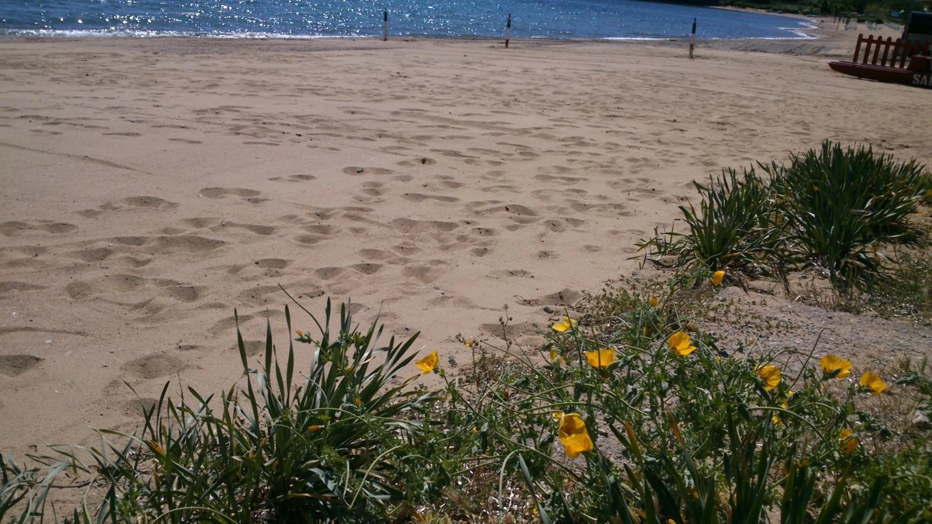 Spring in Frank's Hotel